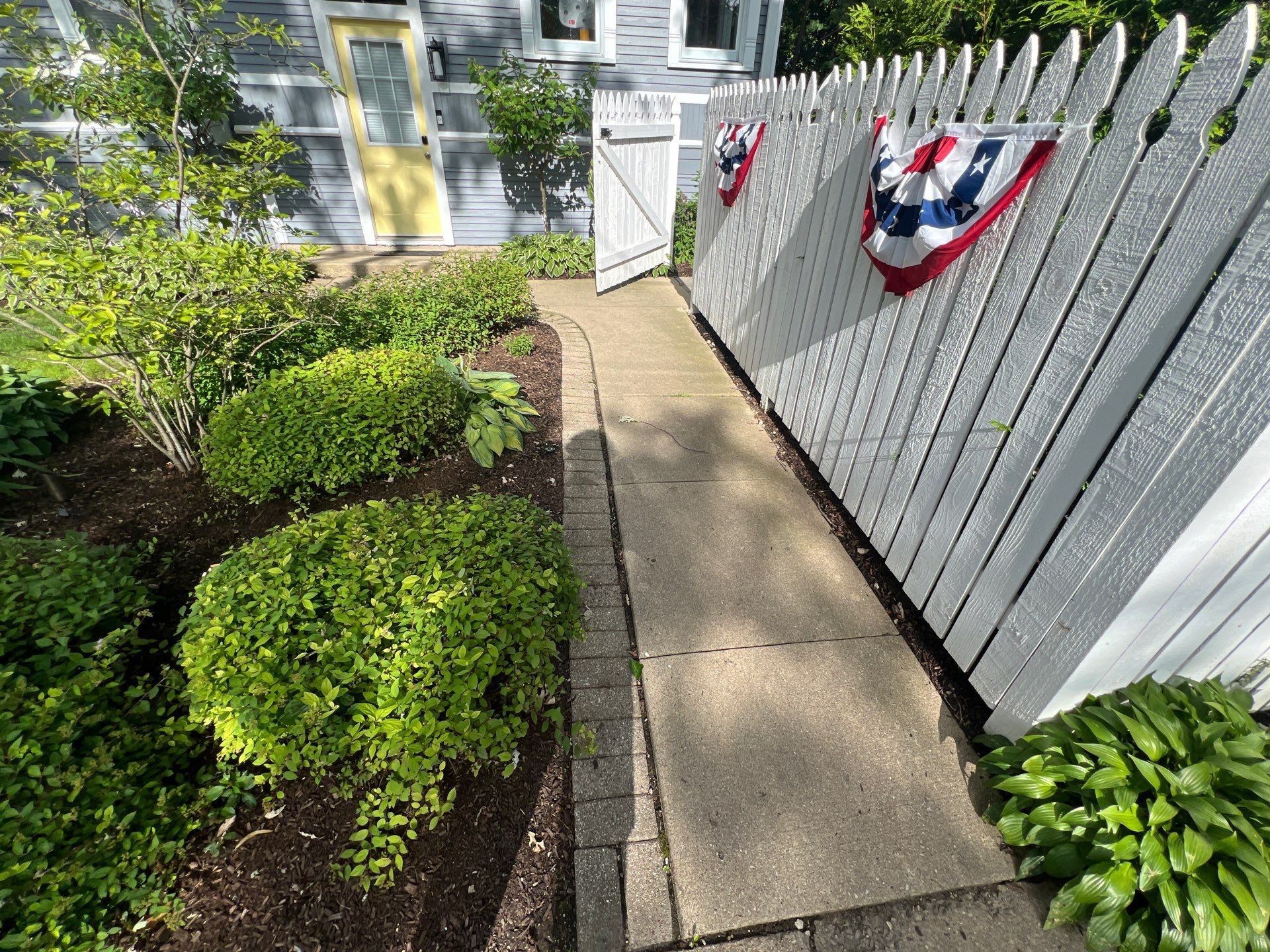 concrete cleaning using Algaecide, soft wash soap by Northern Power Washing LLC.