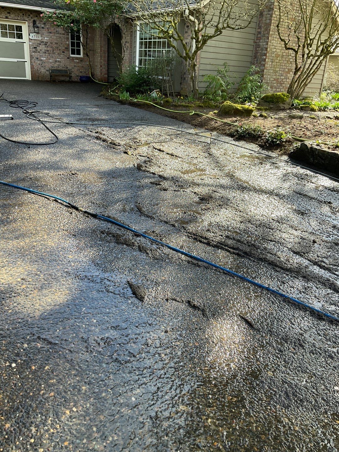 Roof Treatment and Driveway Wash Using Biocide by Willamette Outdoor Wash LLC