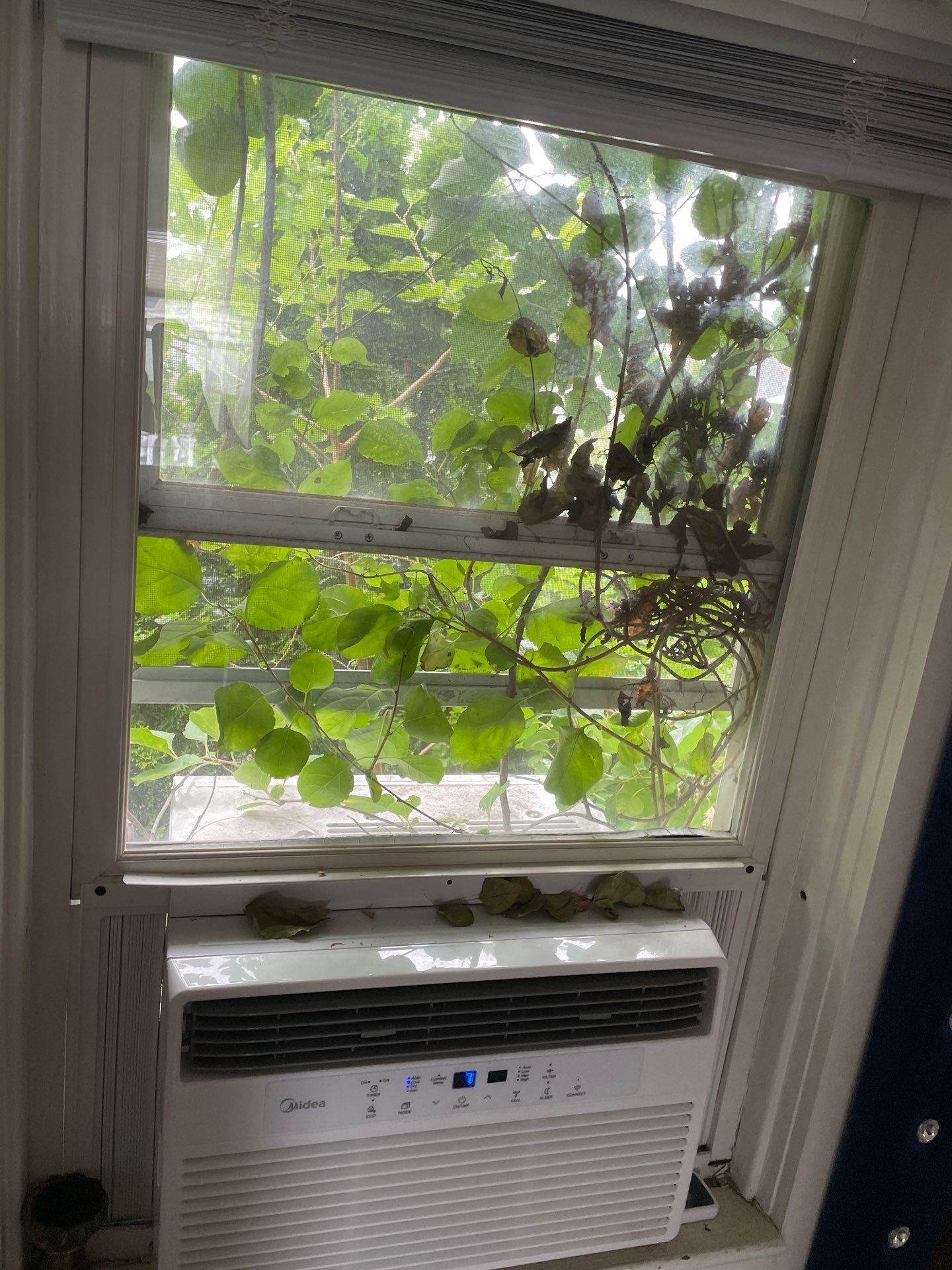 Project in Warwick by Mg House Cleaning