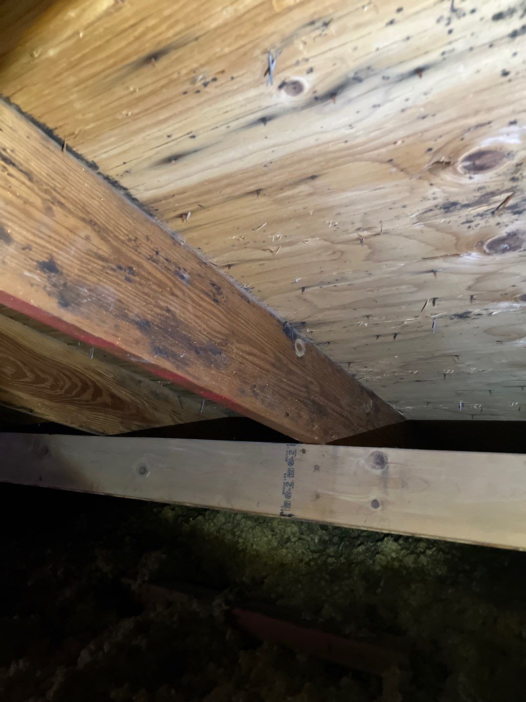 Residential Roofing Repair by Storm Guard of South Metro Denver