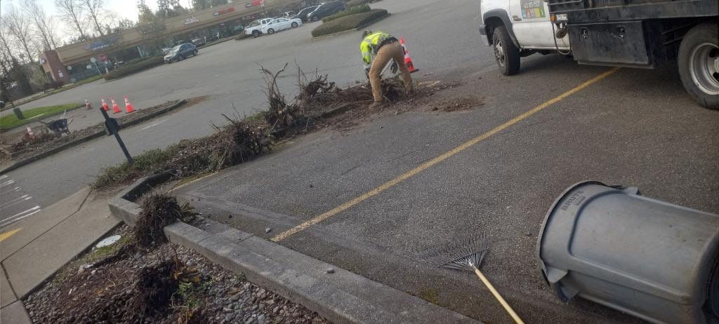 Panda Express | Striping  by Jireh Asphalt & Concrete Inc 