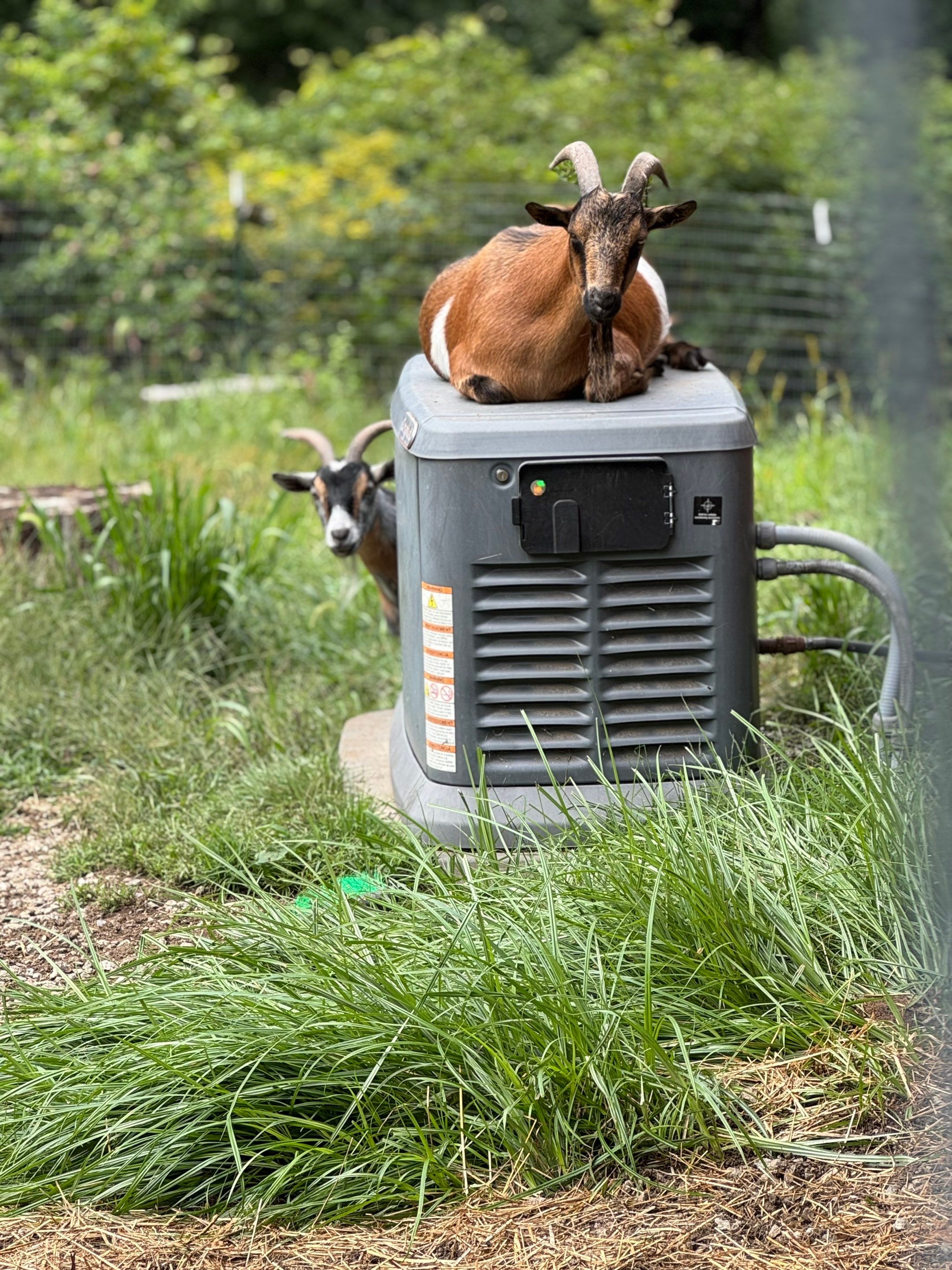 Water Filter Installation by Stake Plumbing and Heating