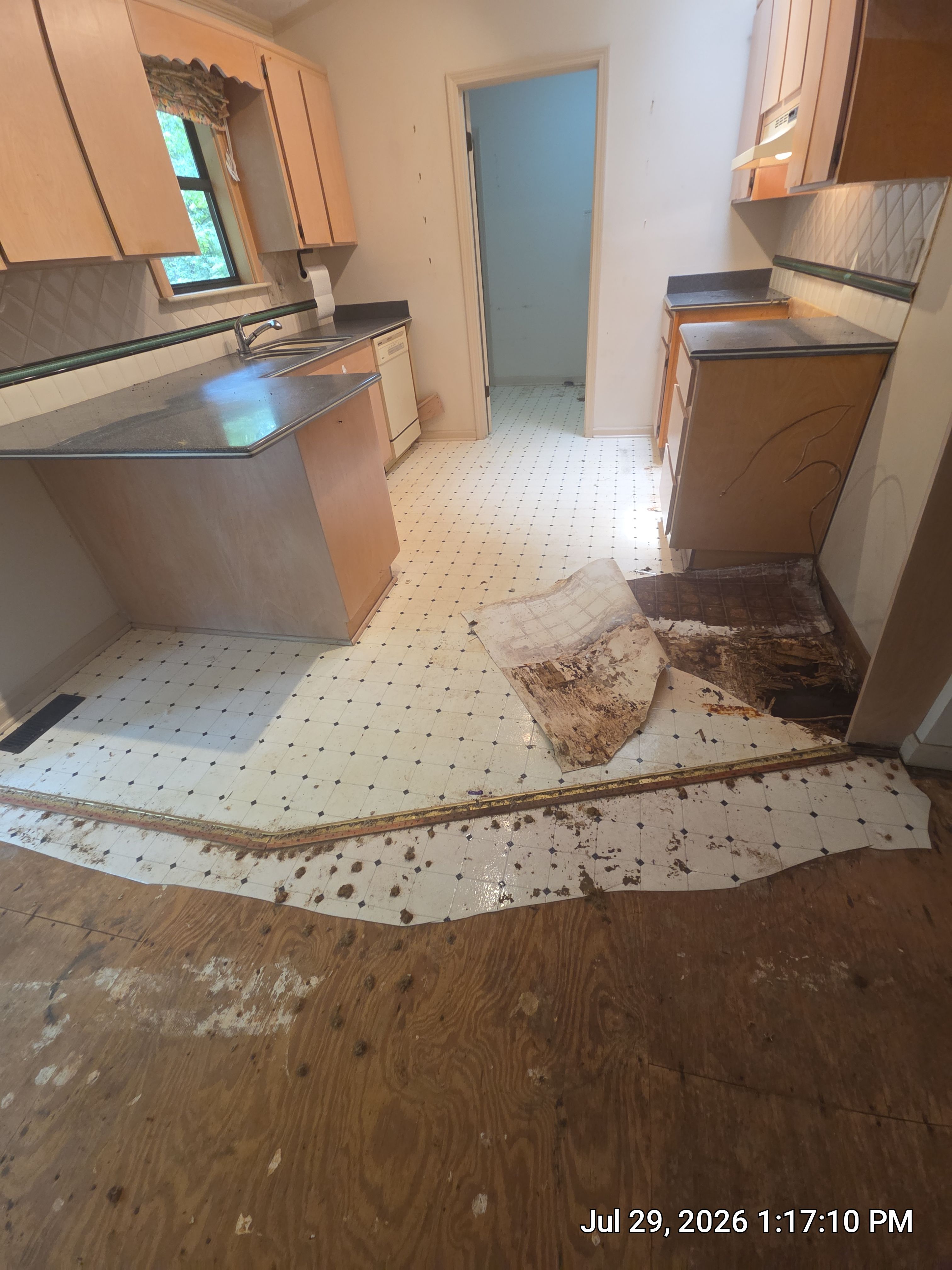 Full Home Subfloor Restoration and Luxury Vinyl Flooring Installation by Flooring Xpress CO