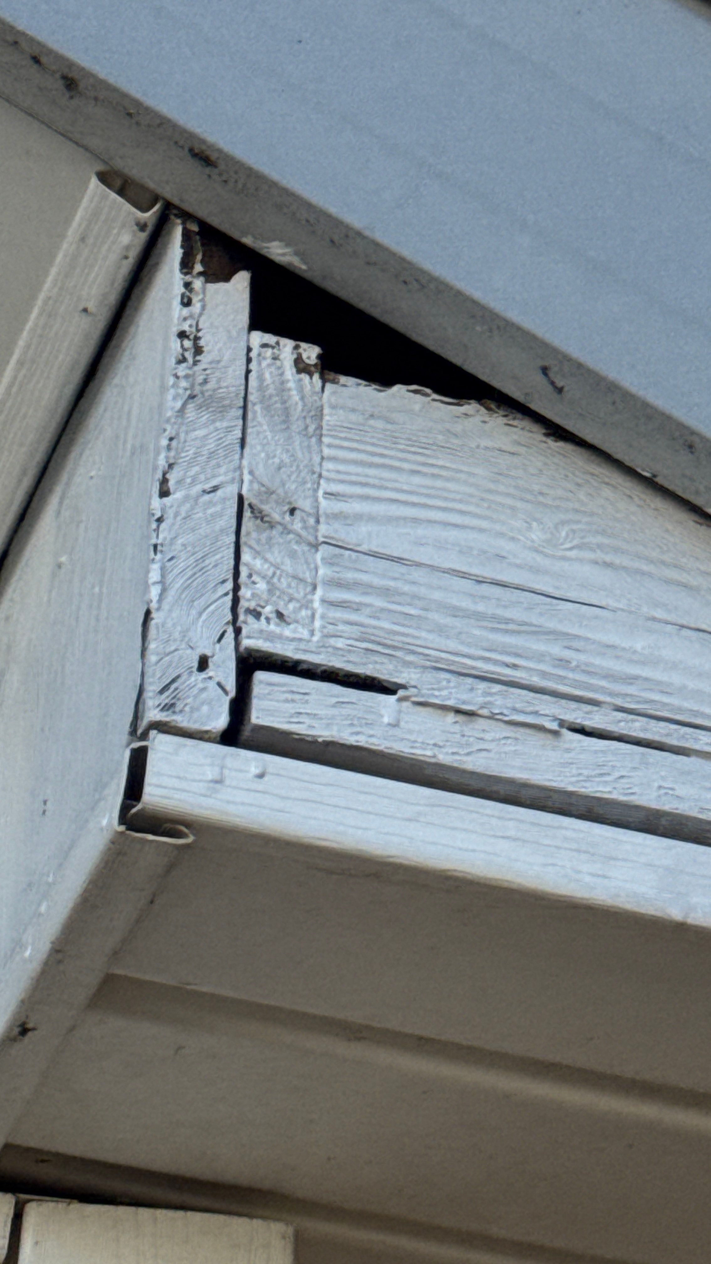 Roof Leak Repair + Fascia/Drip Edge & Gutter Reset - Belleville, IL by Legendary Services Company LLC.