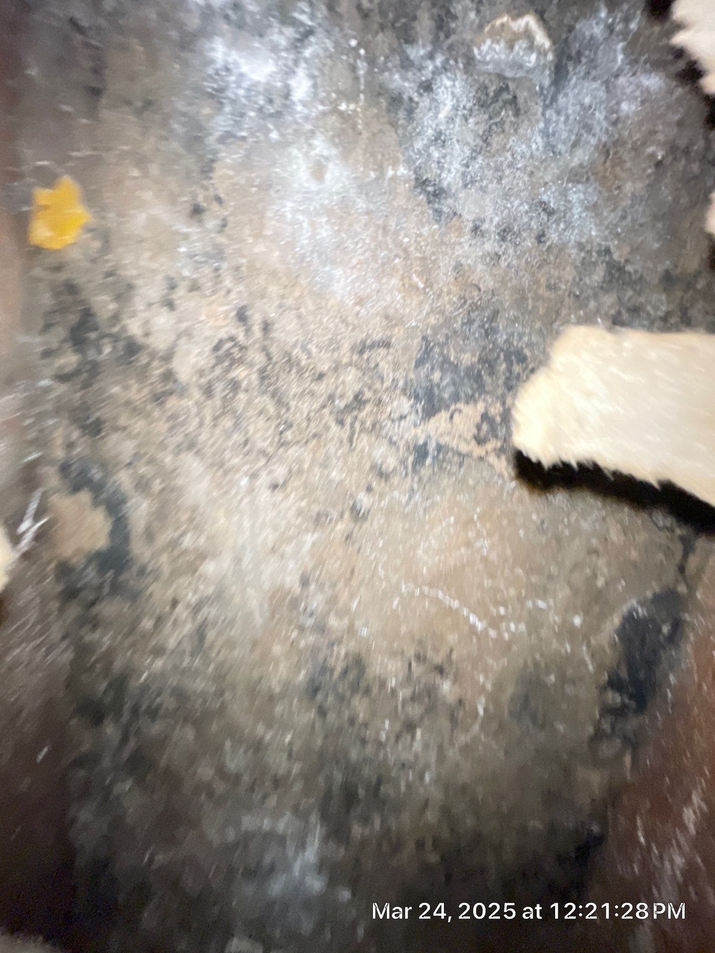 Project in Fresno  by 911 Hazmat Cleanup 