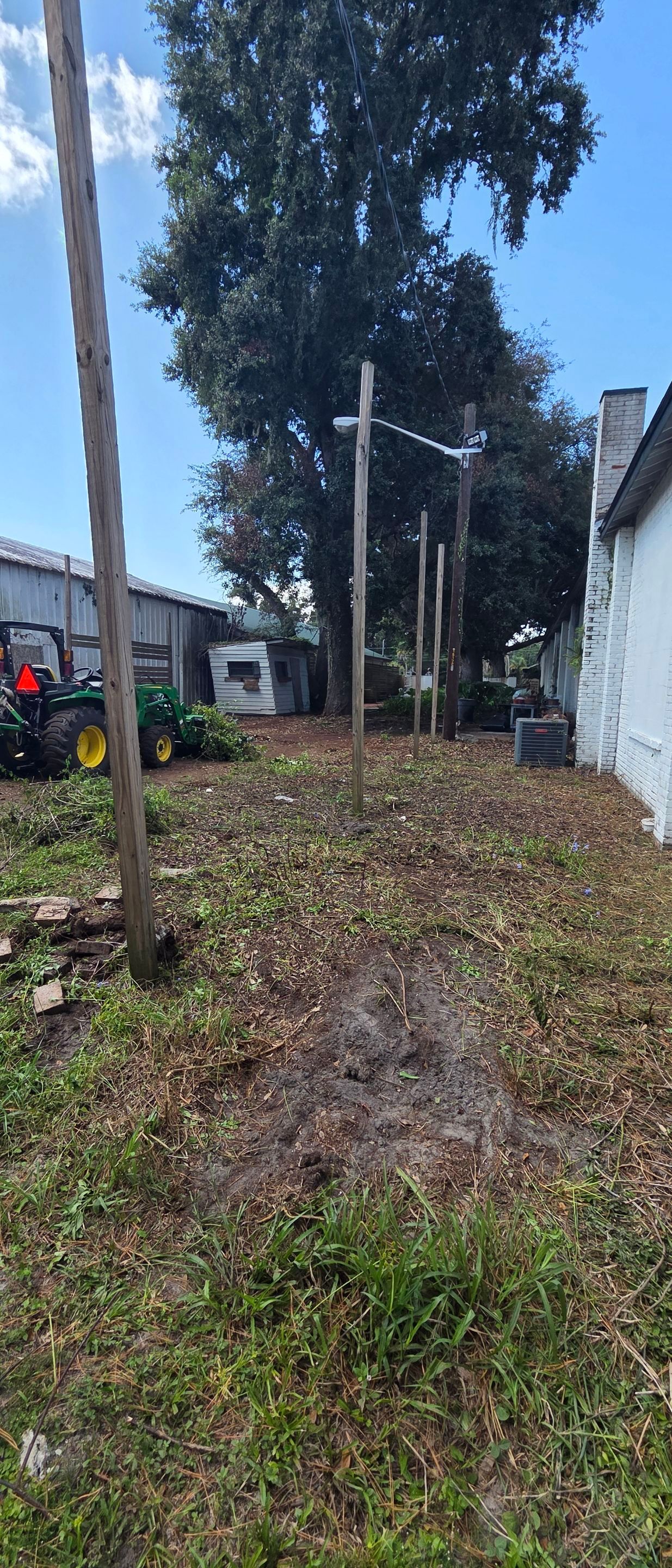 Commercial Property | Clean Up & Tree Removal by ProGreen Services