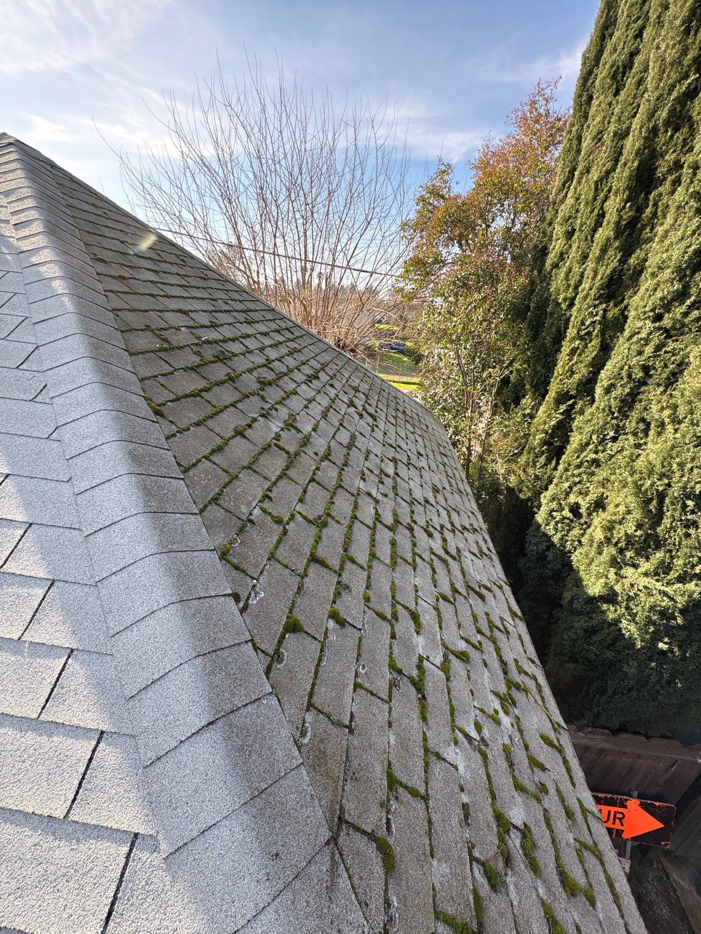 Roof Rejuvenation using Roof Maxx Treatment by Roof Maxx of Folsom