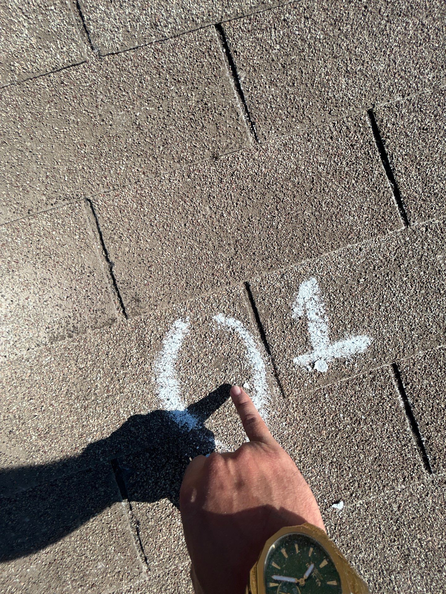 Miss Bridgette by REPS Austin Area Roofer
