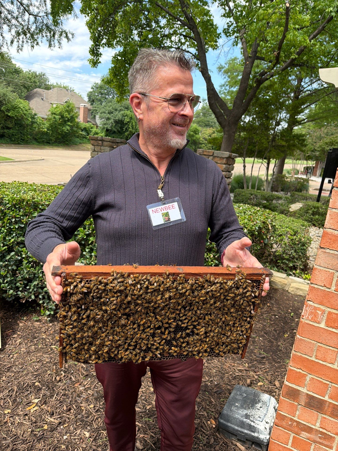 Apartment Retreat for Honey Bees in Garland by Rockwall Honey Bee Company