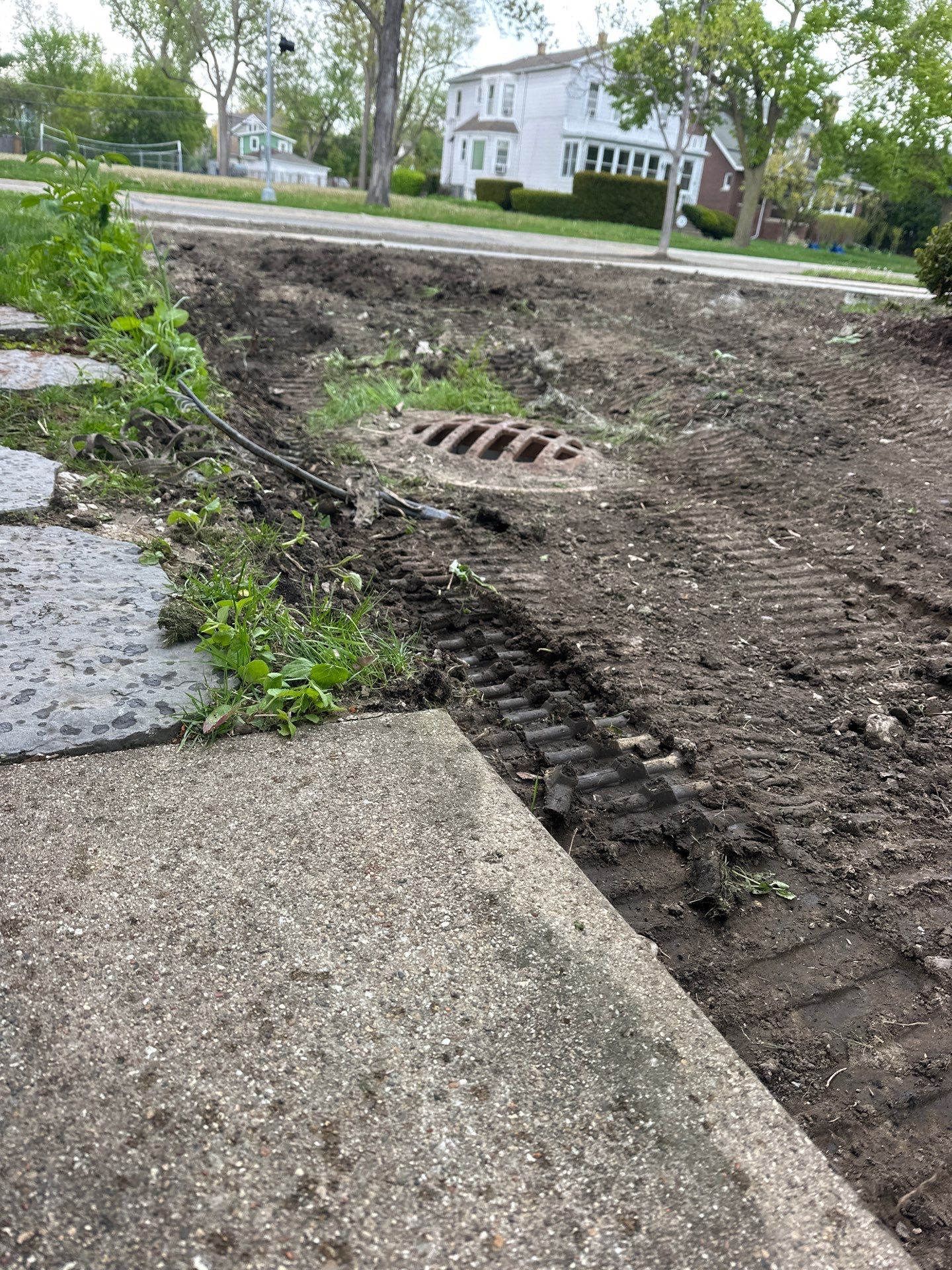 Tom D. - Wilmette, IL by A&N