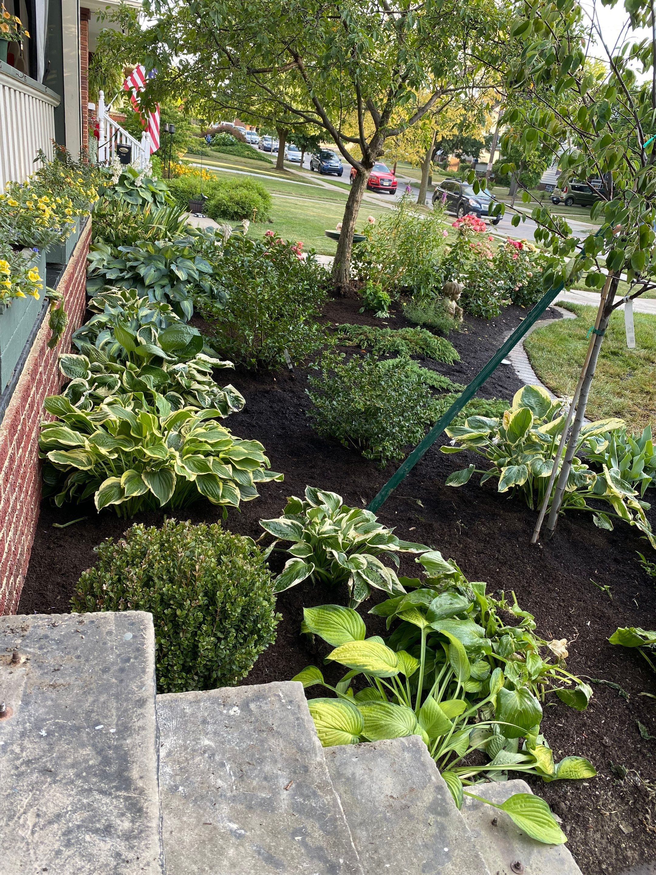 Elm Rose Home Project by Elm Rose Gardens