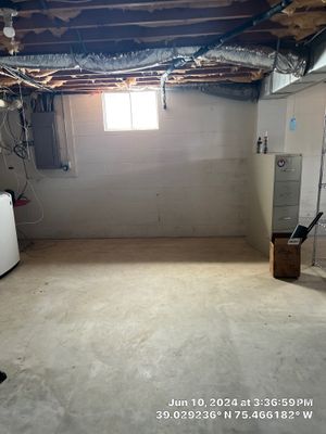 Basement Mold Remediation