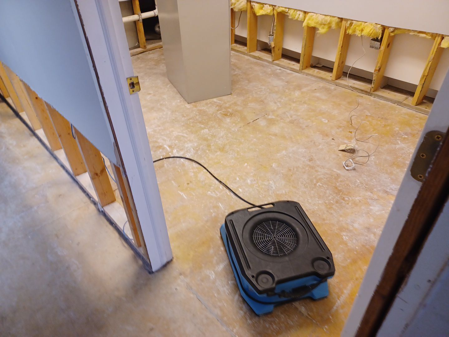 Project in Commerce Twp by EzDry Water Mitigation & Property Restoration