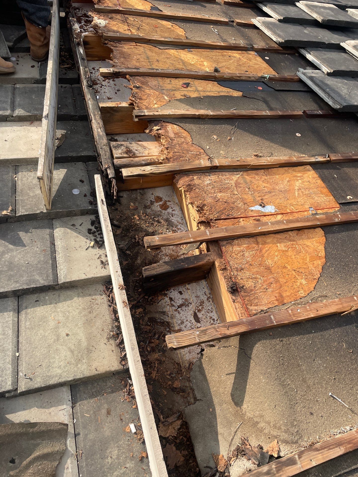 Roof Repair Services featured photo.