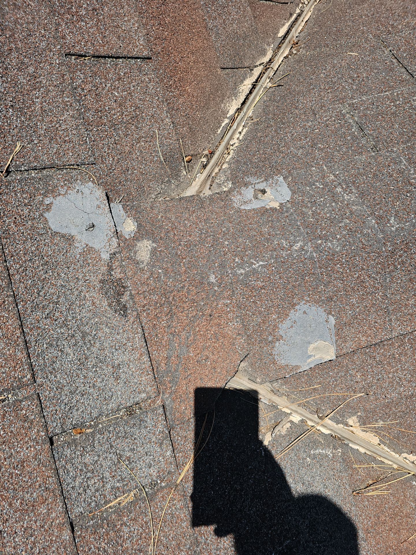 Malarkey Shingles in Arizona by Weather-Tite Exteriors LLC