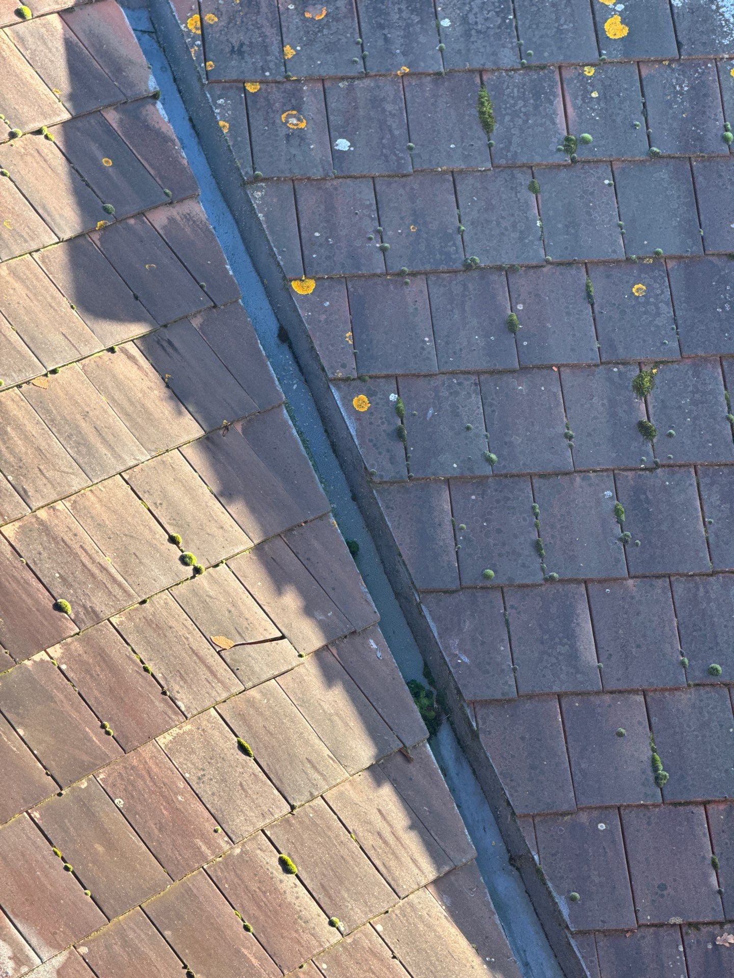 Large Care Home Roof Clean using Mosmatic FSC and Biocide by Ges Exterior Cleaning ltd