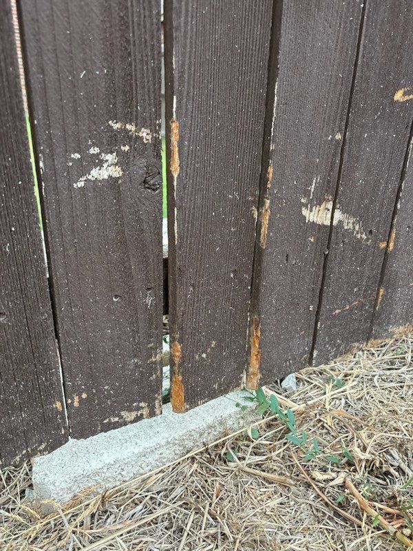 Project in Prosper by NIMBUS GENERAL CONTRACTORS, LLC