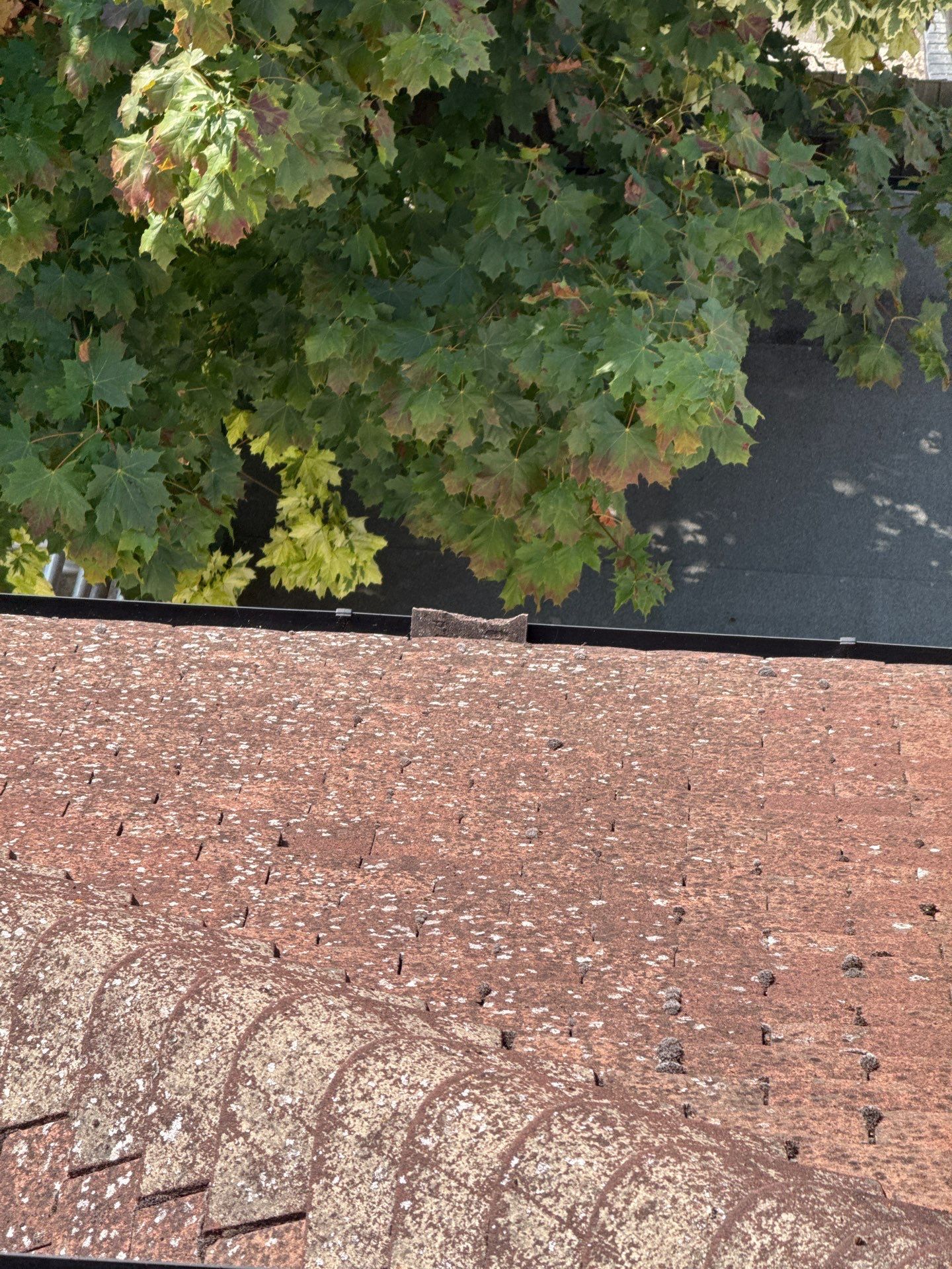Roof Clean by Ges Exterior Cleaning ltd