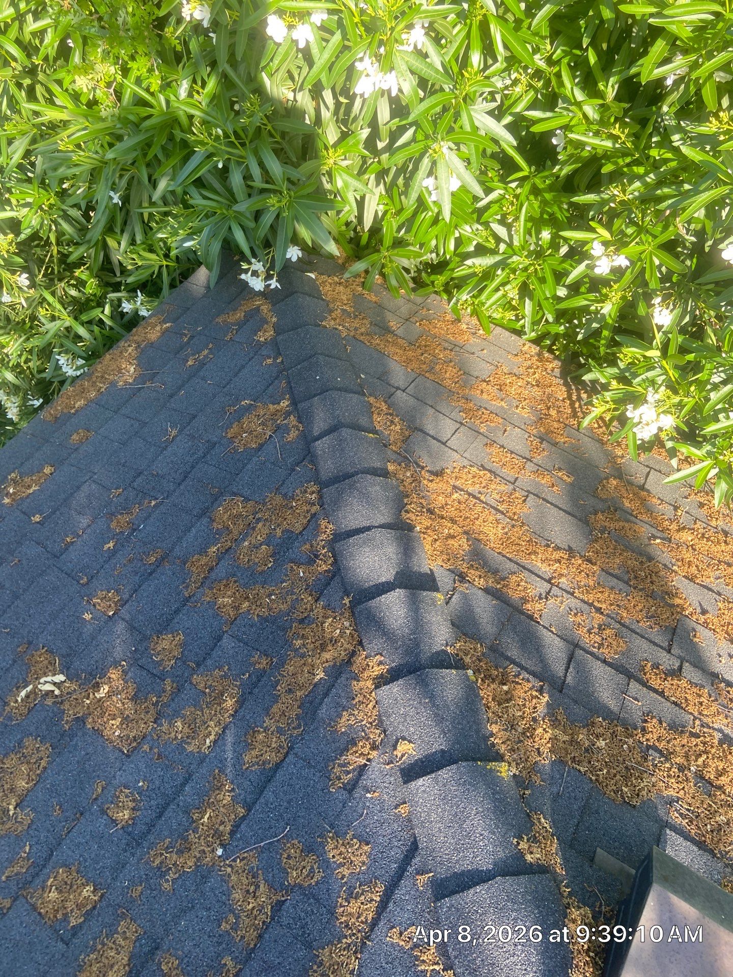 Roof Rejuvenation using Roof Maxx Treatment by Roof Maxx of Folsom