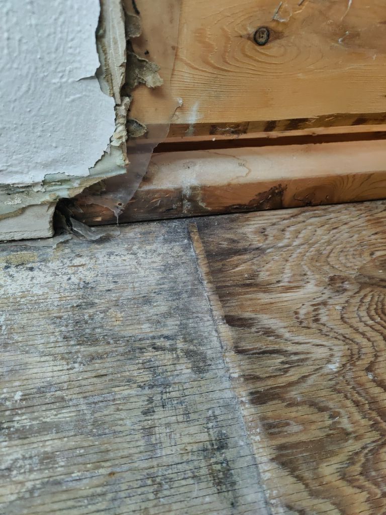 Mold Remediation  by Accountable Home Services