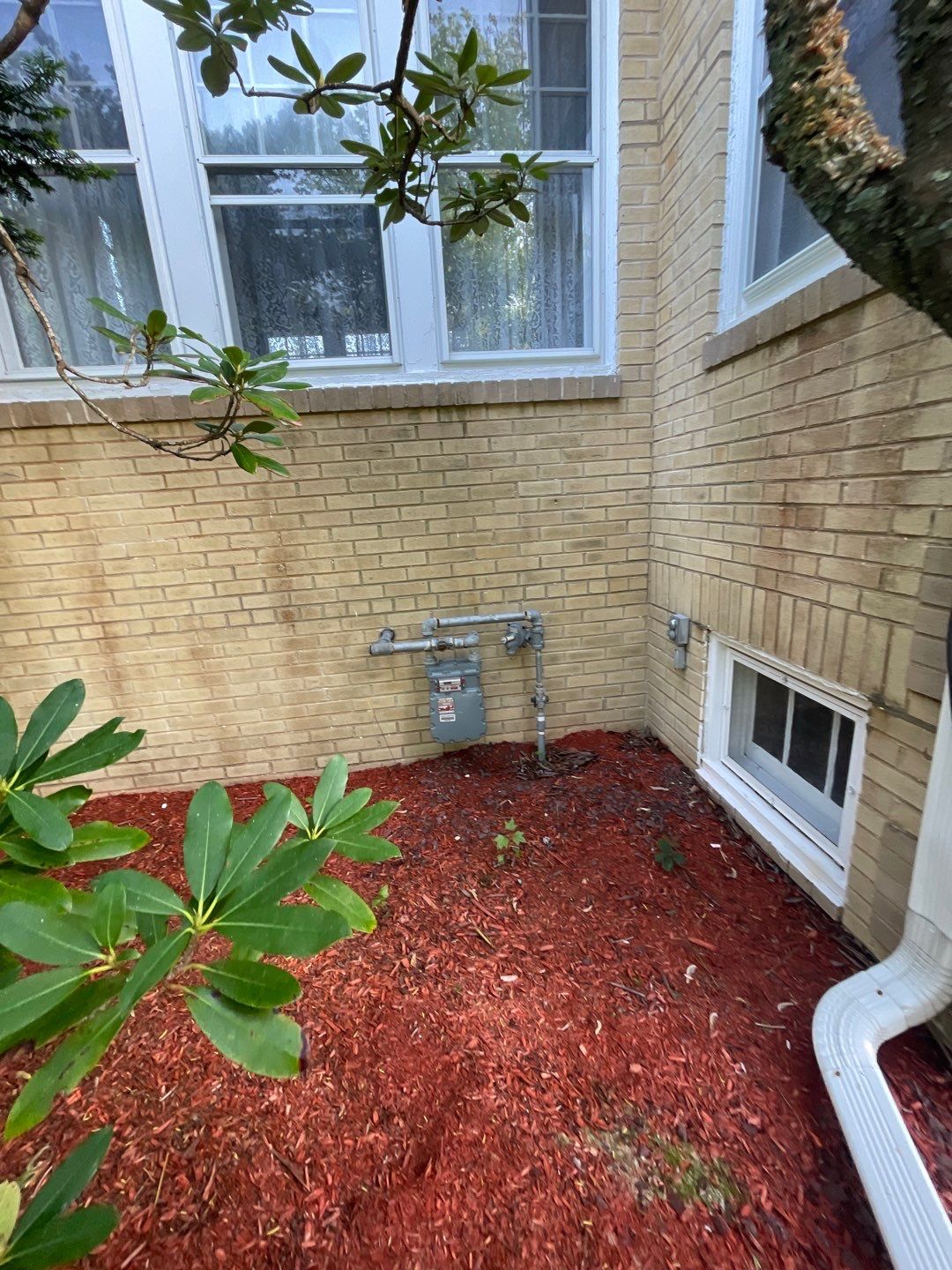 House, Pool & Rear Patio, Garage & Fence by SJ Exterior