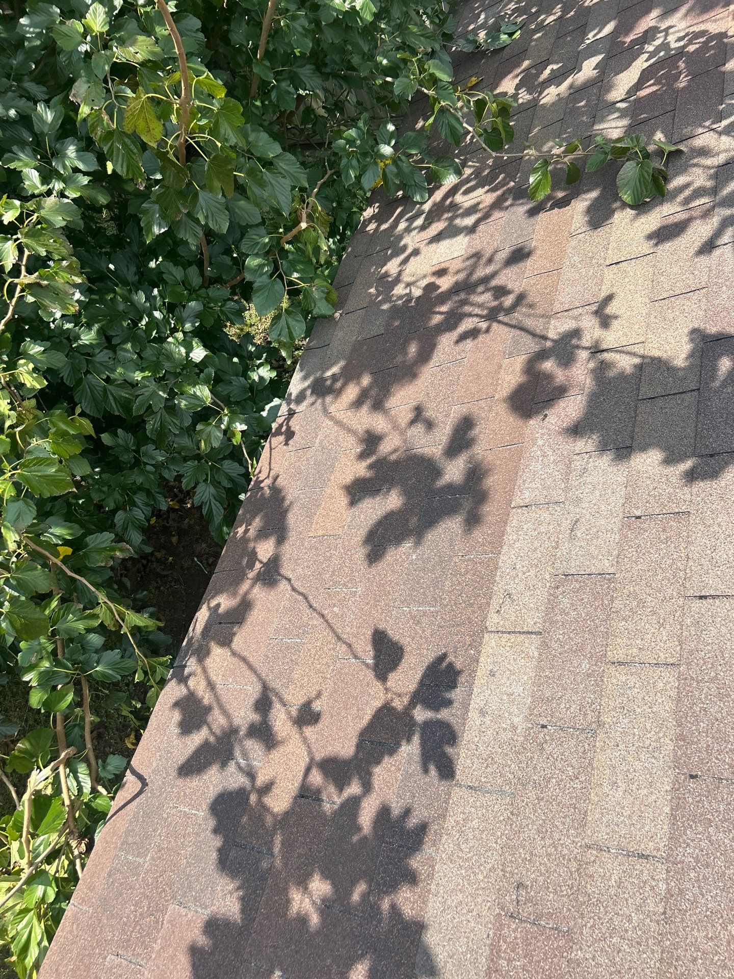 Roof Repair Houston by Roof Repair Services LLC
