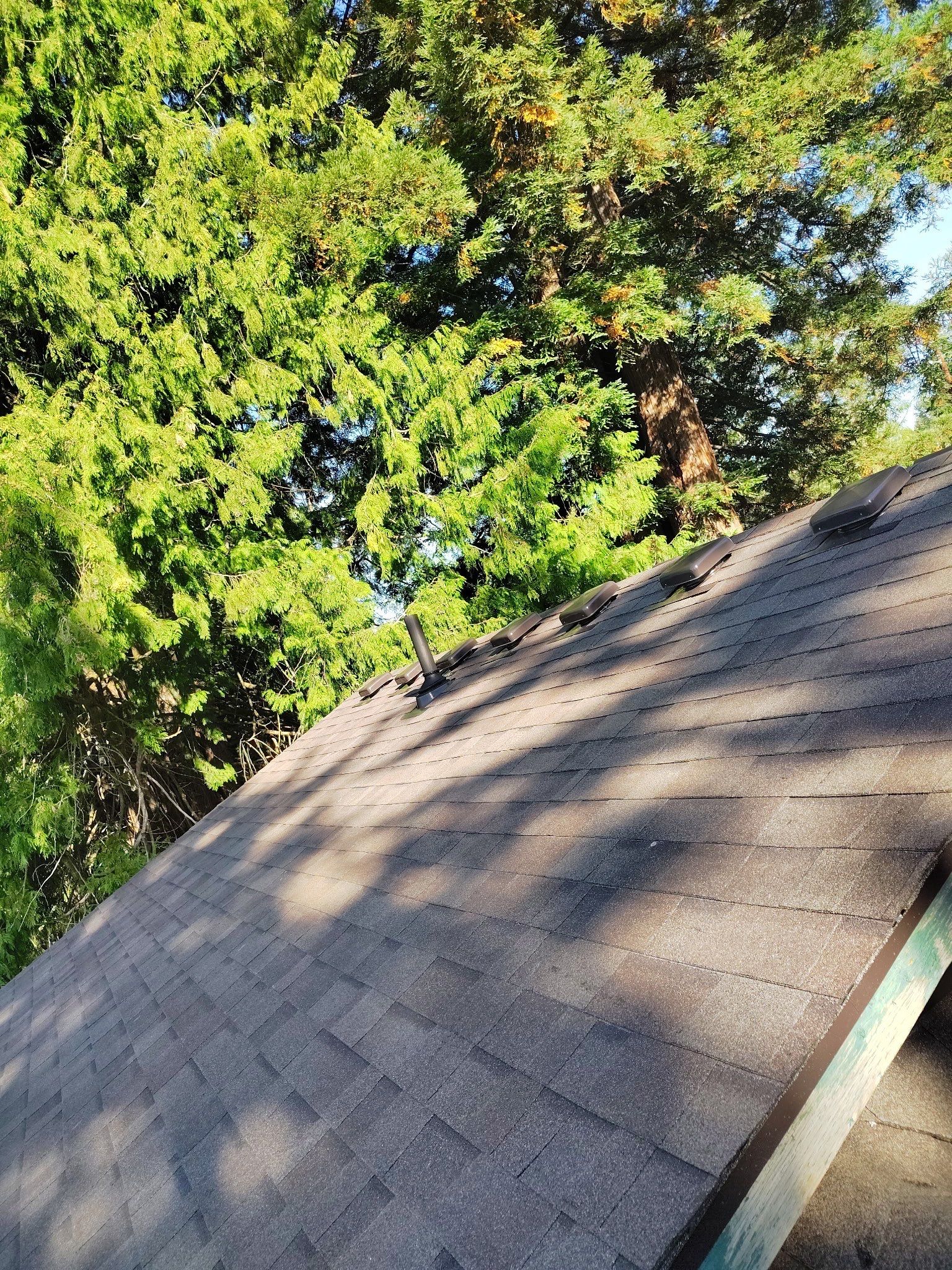 Project in Gresham by Tom Leach Roofing