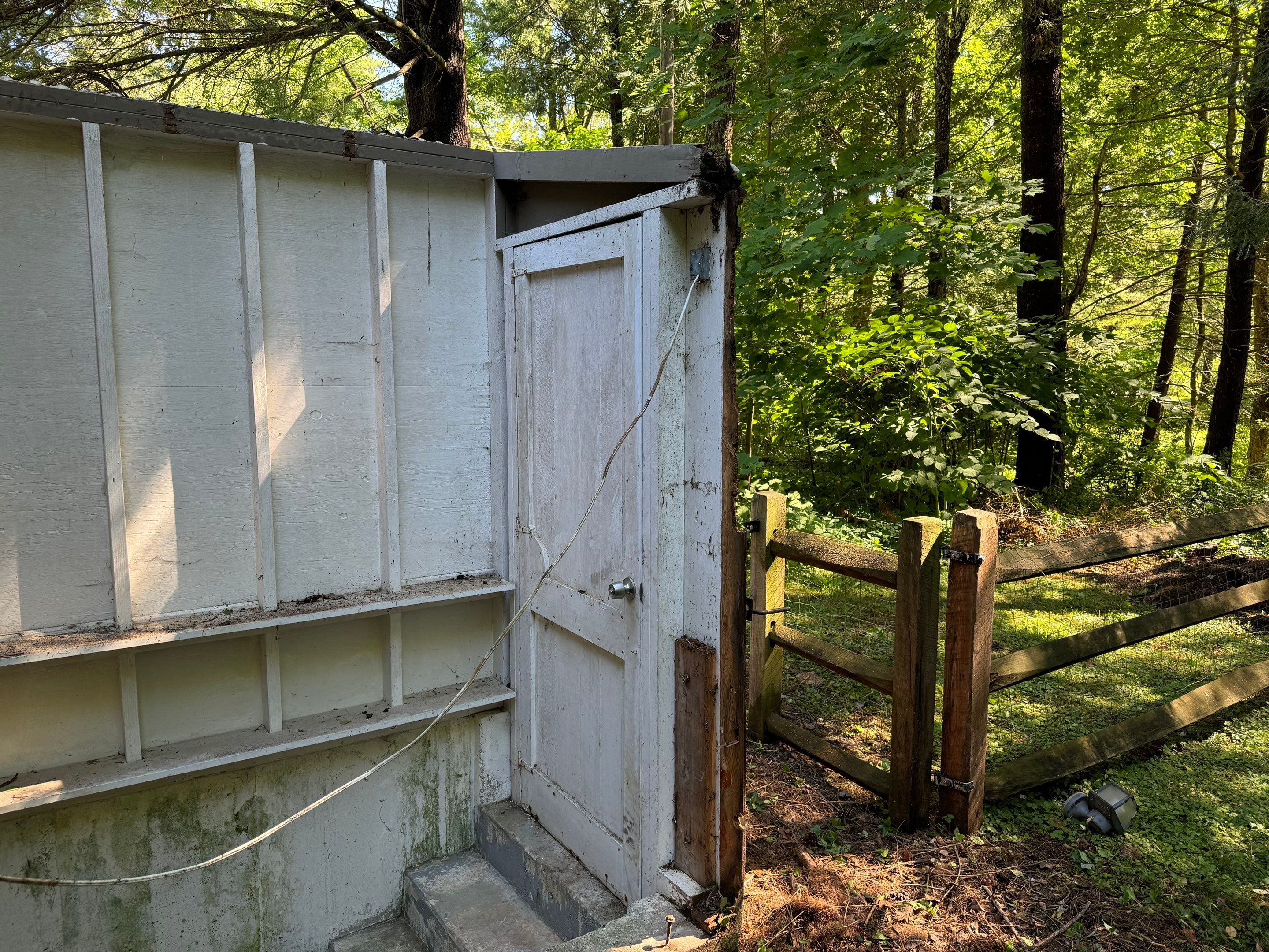 Basement Mold Remediation by Home Guarantee, LLC