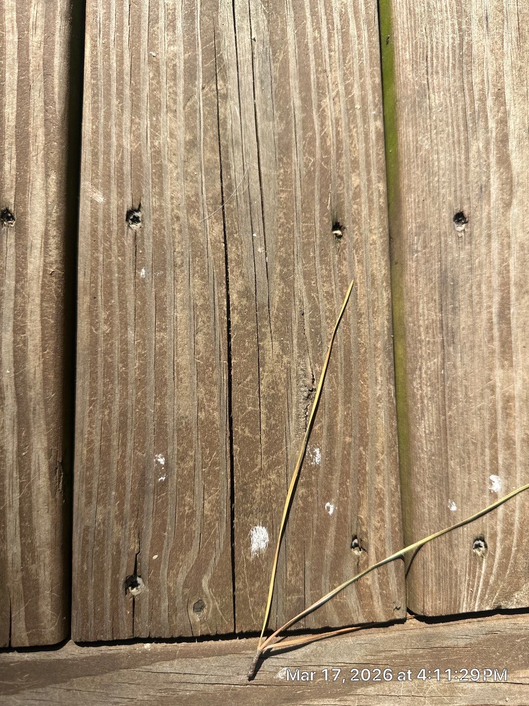 Deck using Wood Sealant by DuraSeal