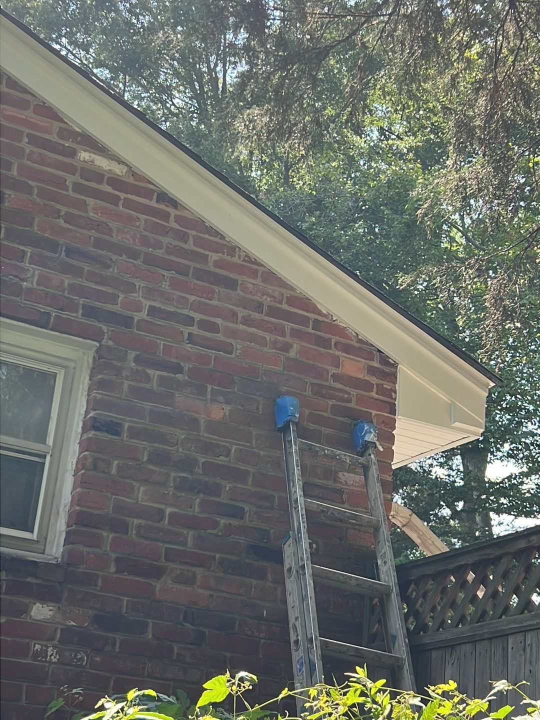 Springfield Tree Damage Restoration: CertainTeed Landmark Designer Shingles in Charcoal Black by RM Banning, Inc.