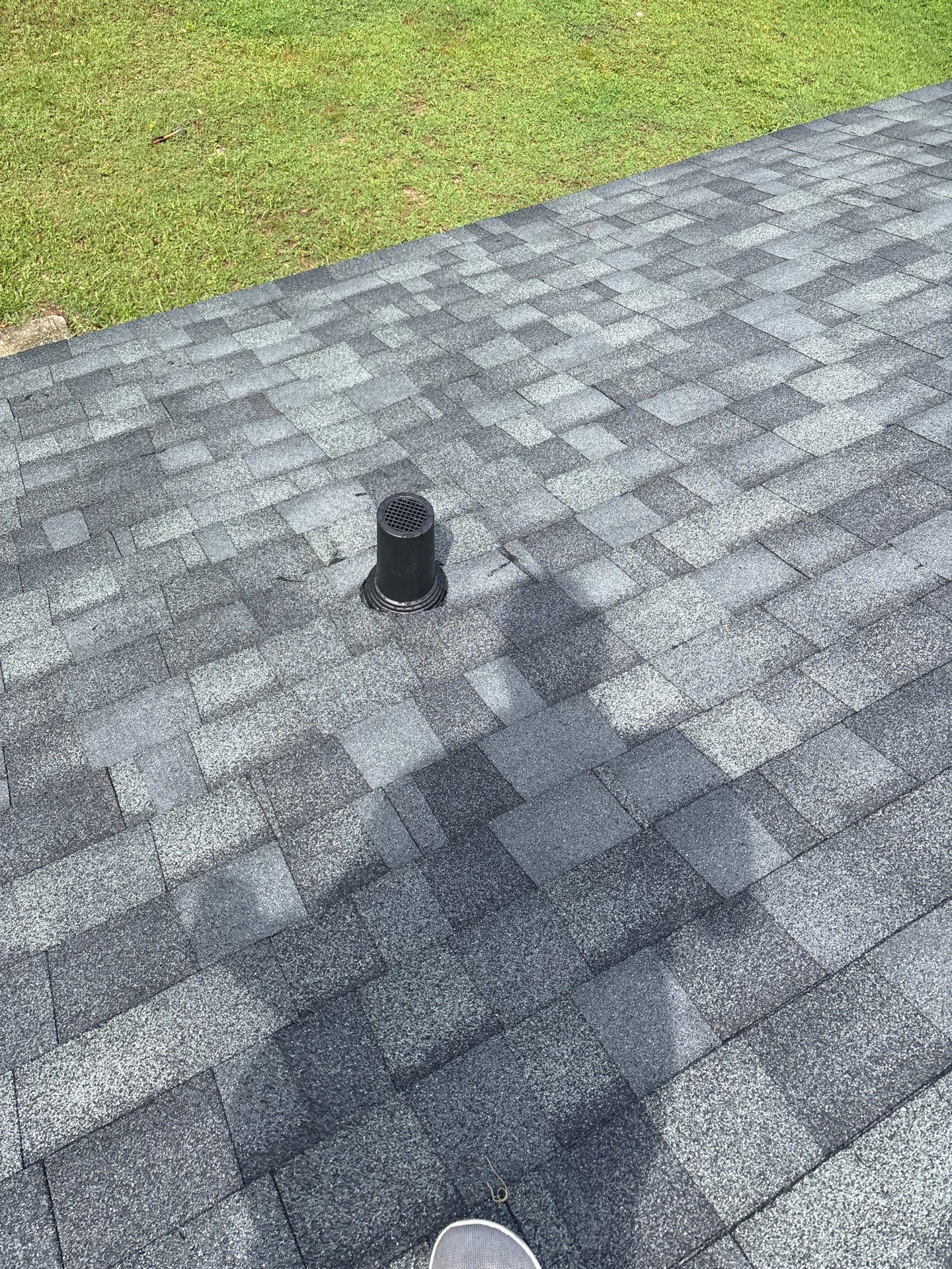 New Ocala Shingles in September by Brehm Roofing