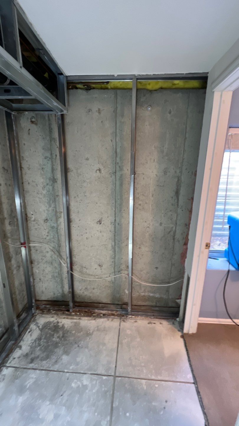 Mold Remediation by Accountable Home Services