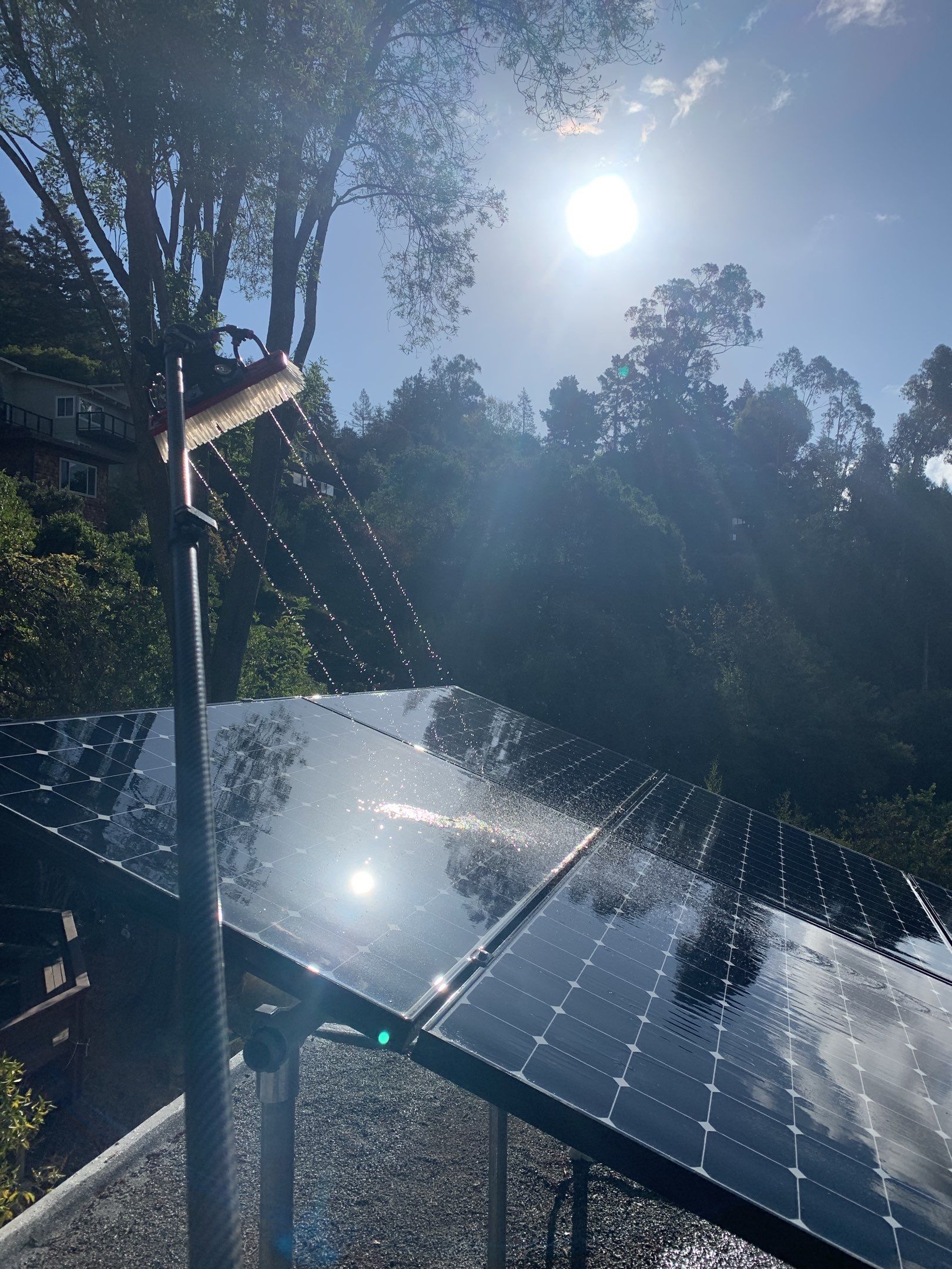 Elise Hurwitz’ Window Clean by SpotFree Window Cleaning