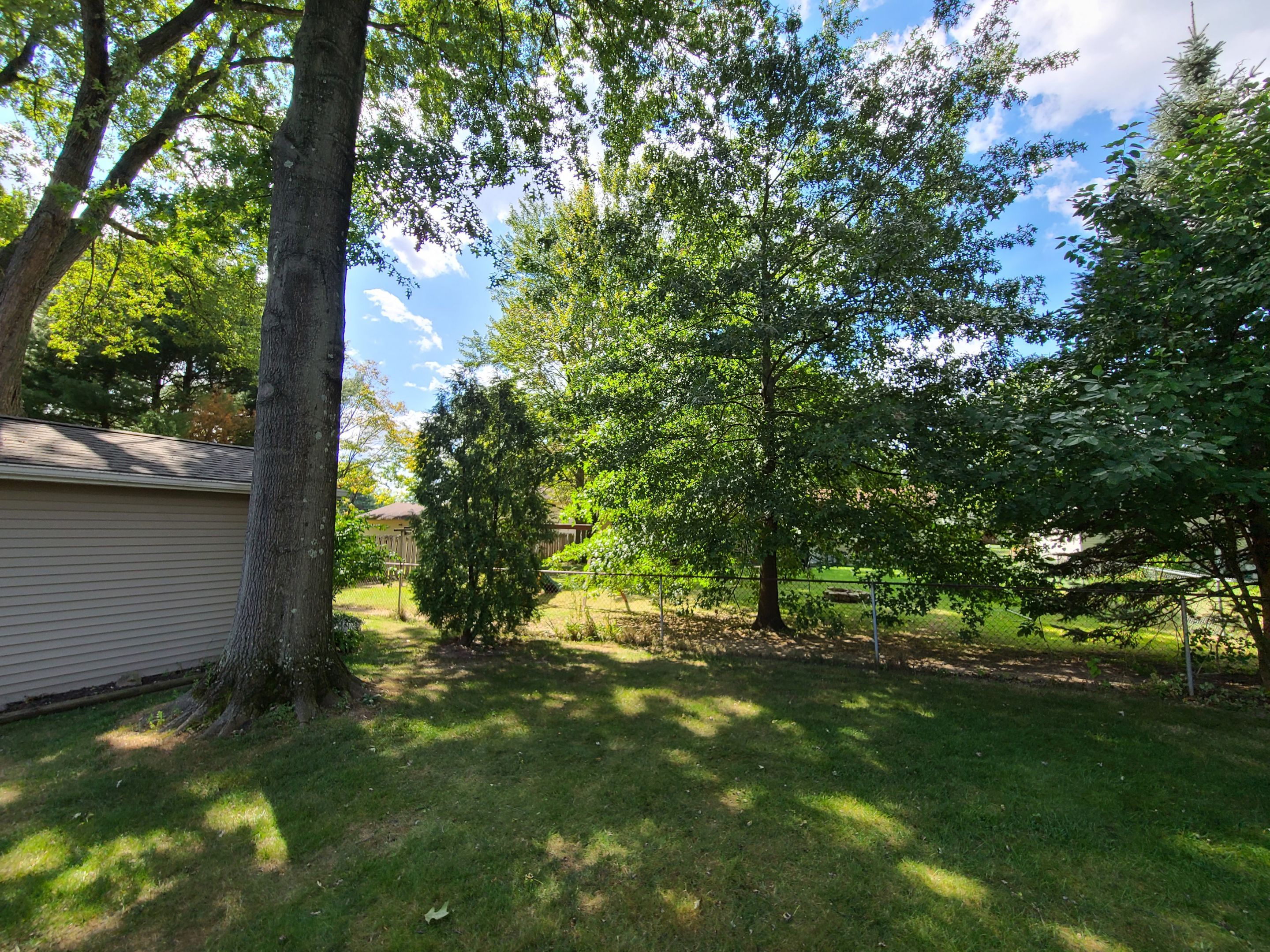 Oak Tree Removal by Mike Jones & Sons Tree Service LLC 