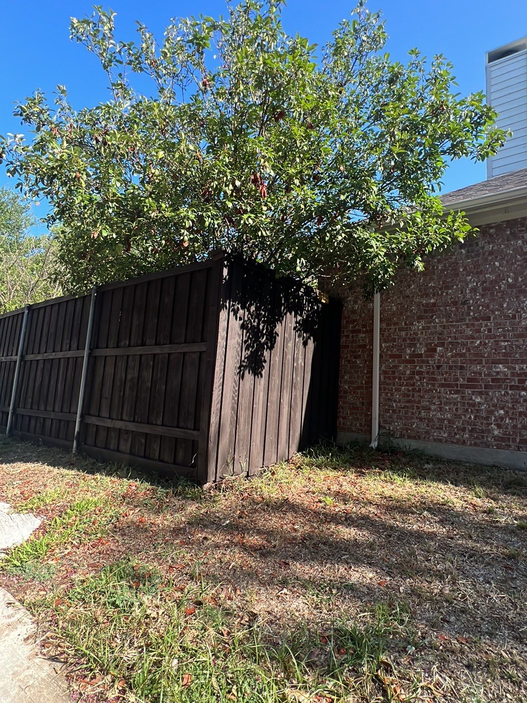 Project in Plano by Armor Roofing | Exteriors