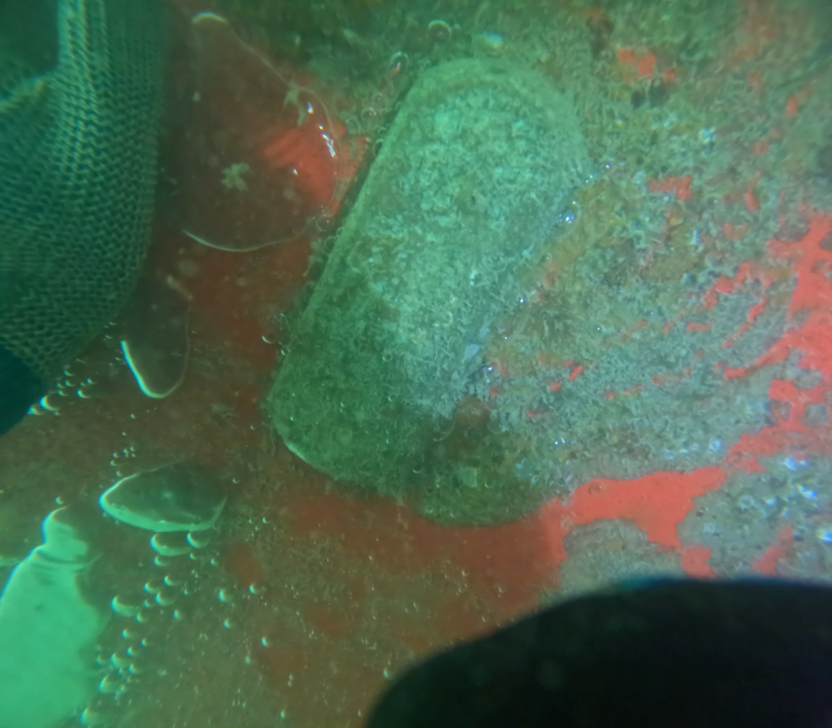 Project in North Fort Myers, FL by Florida Hull Cleaning 
