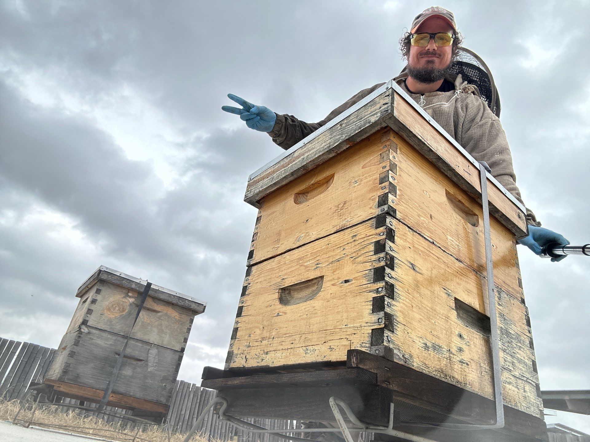 Bees at the Bank! by Rockwall Honey Bee Company