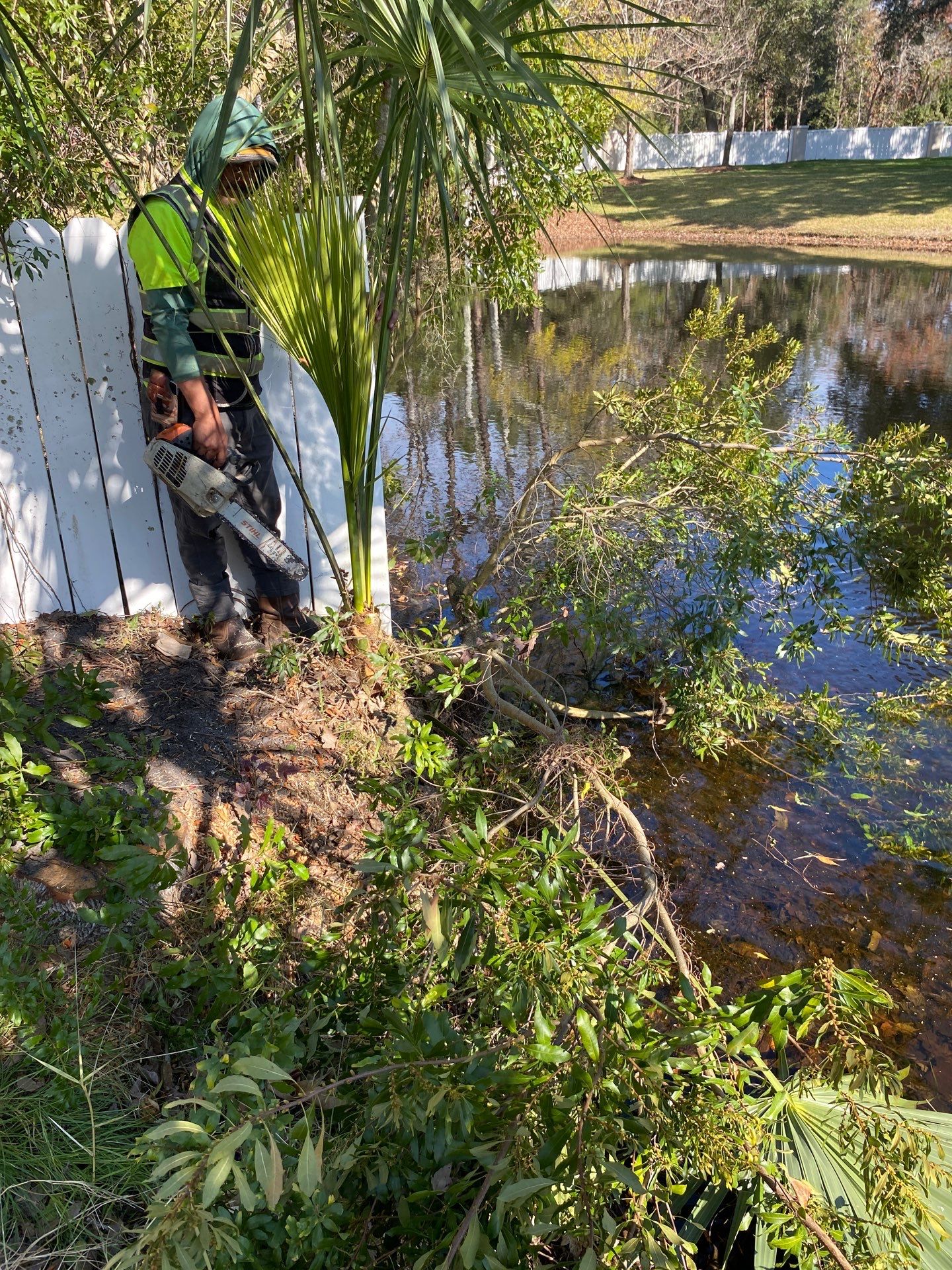 Deerwood Resident | Tree Removal by ProGreen Services