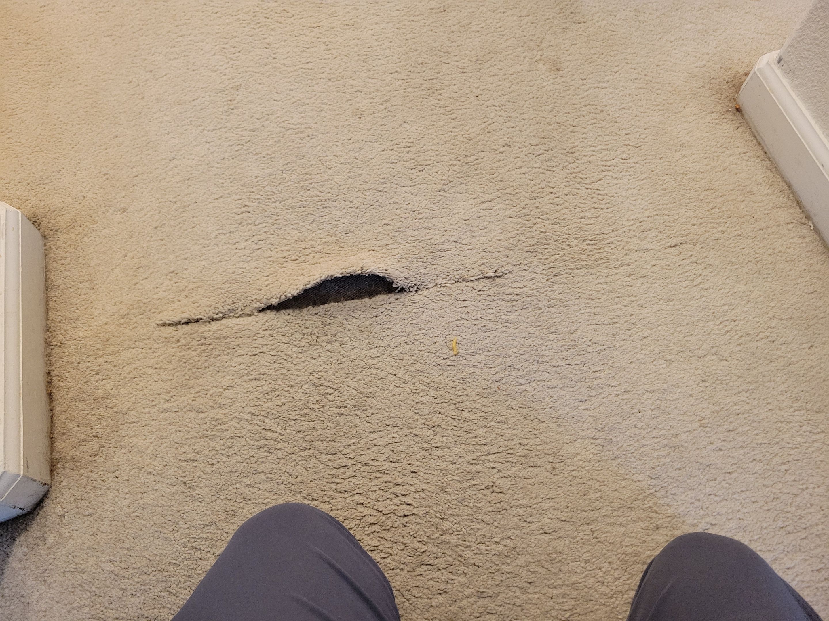 Delaminated Carpet Seam Repair by Ardent Carpet Restore LLC