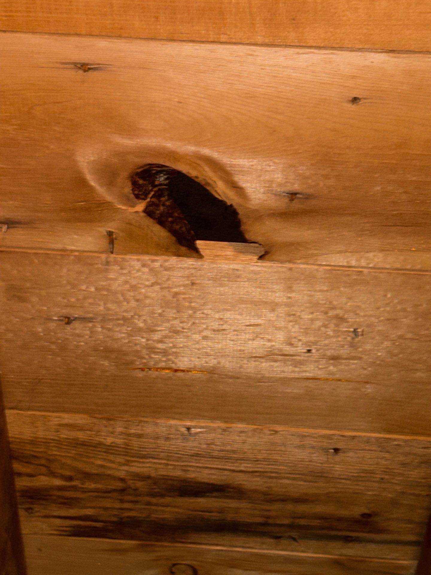 Roof Repair with Shingle Replacement – Chelmsford, MA by Mighty Dog Roofing of Greater Middlesex County