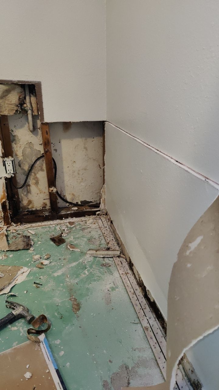 Mold Remediation by Accountable Home Services