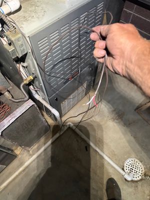 Project in Thornton