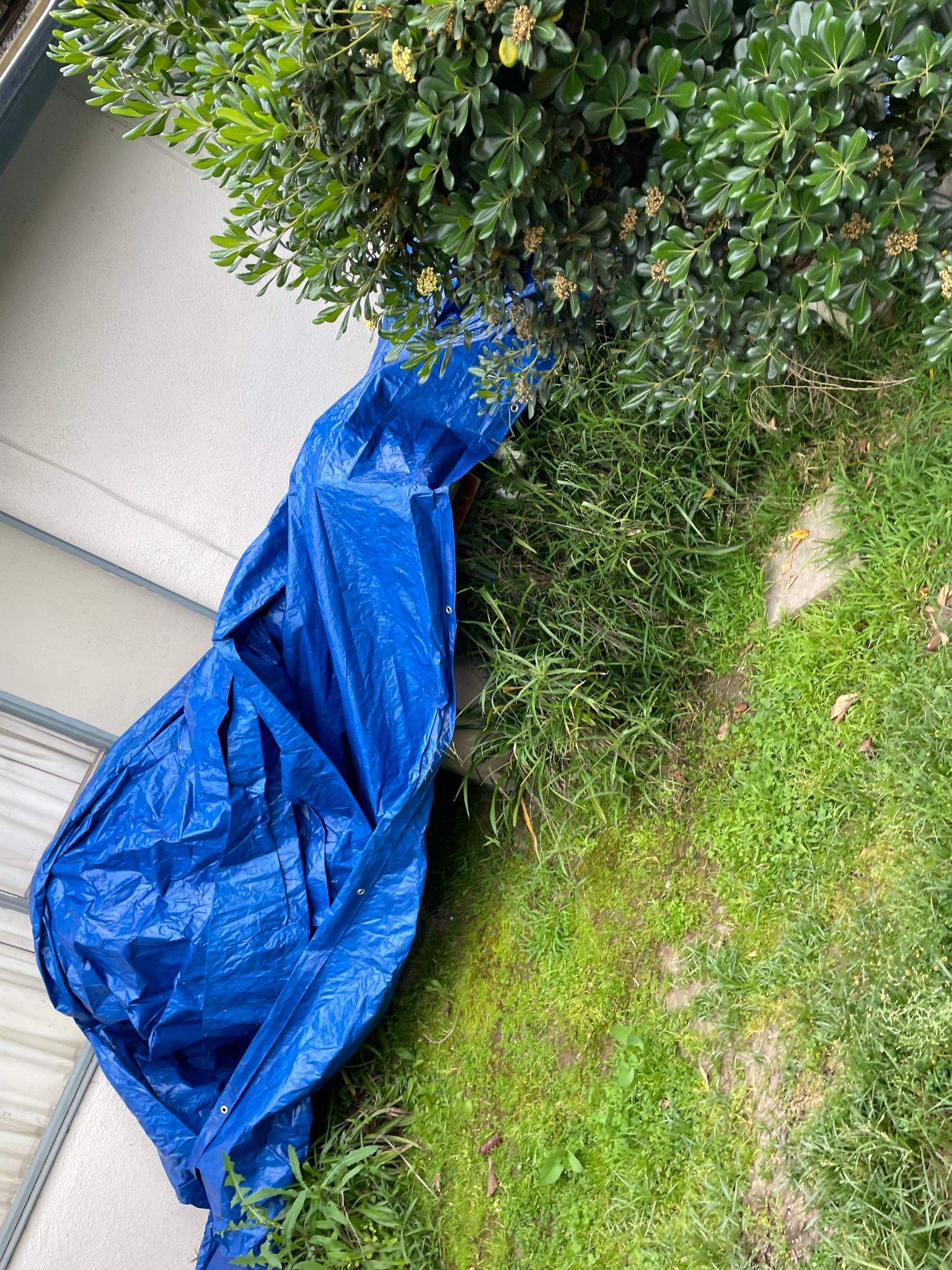 Roof Replacement - Arcadia, CA 91007 by Epic Roof Replacement