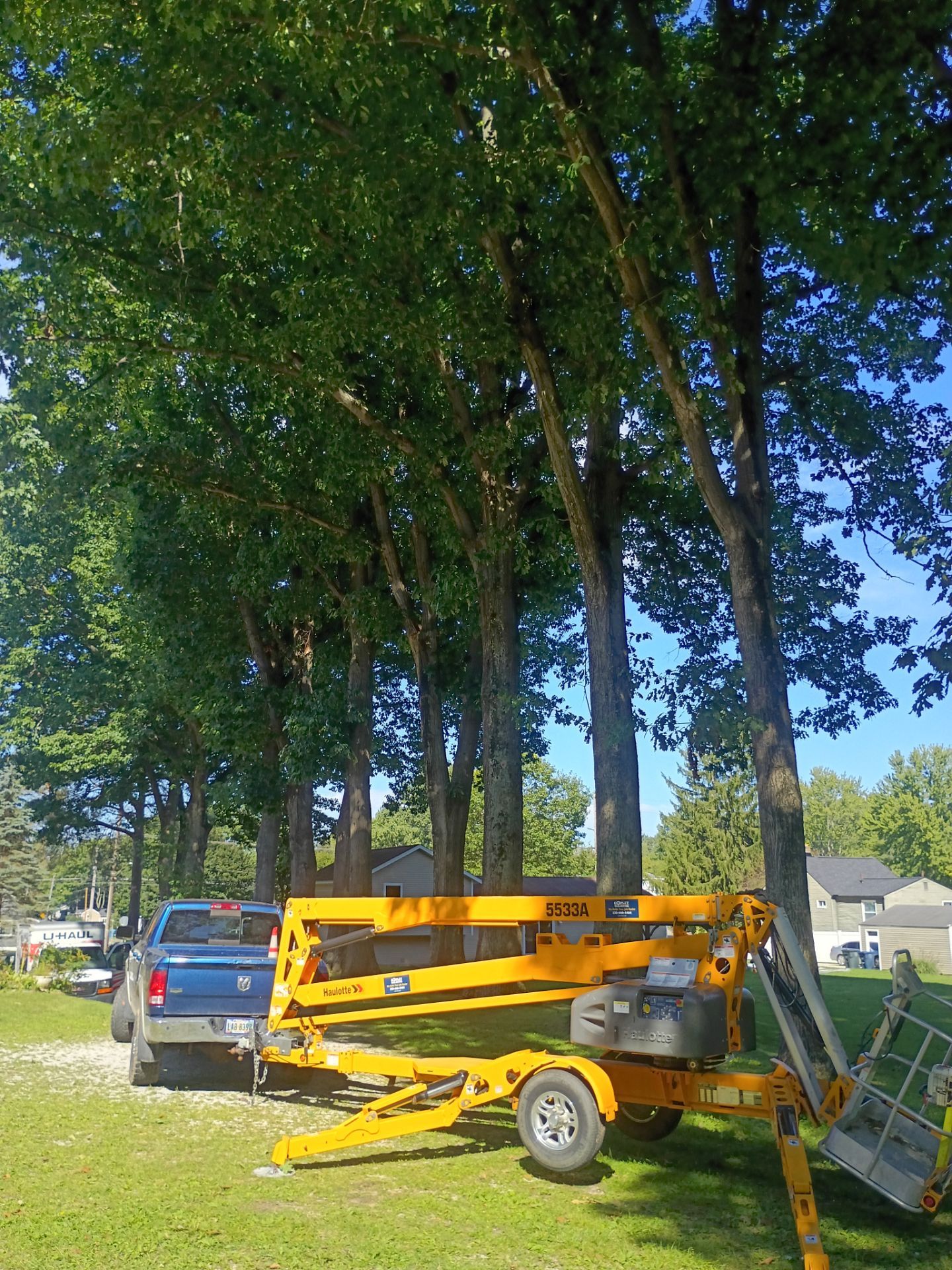 Tree Trimming & Tree Removal in Akron Ohio by Mike Jones & Sons Tree Service LLC 