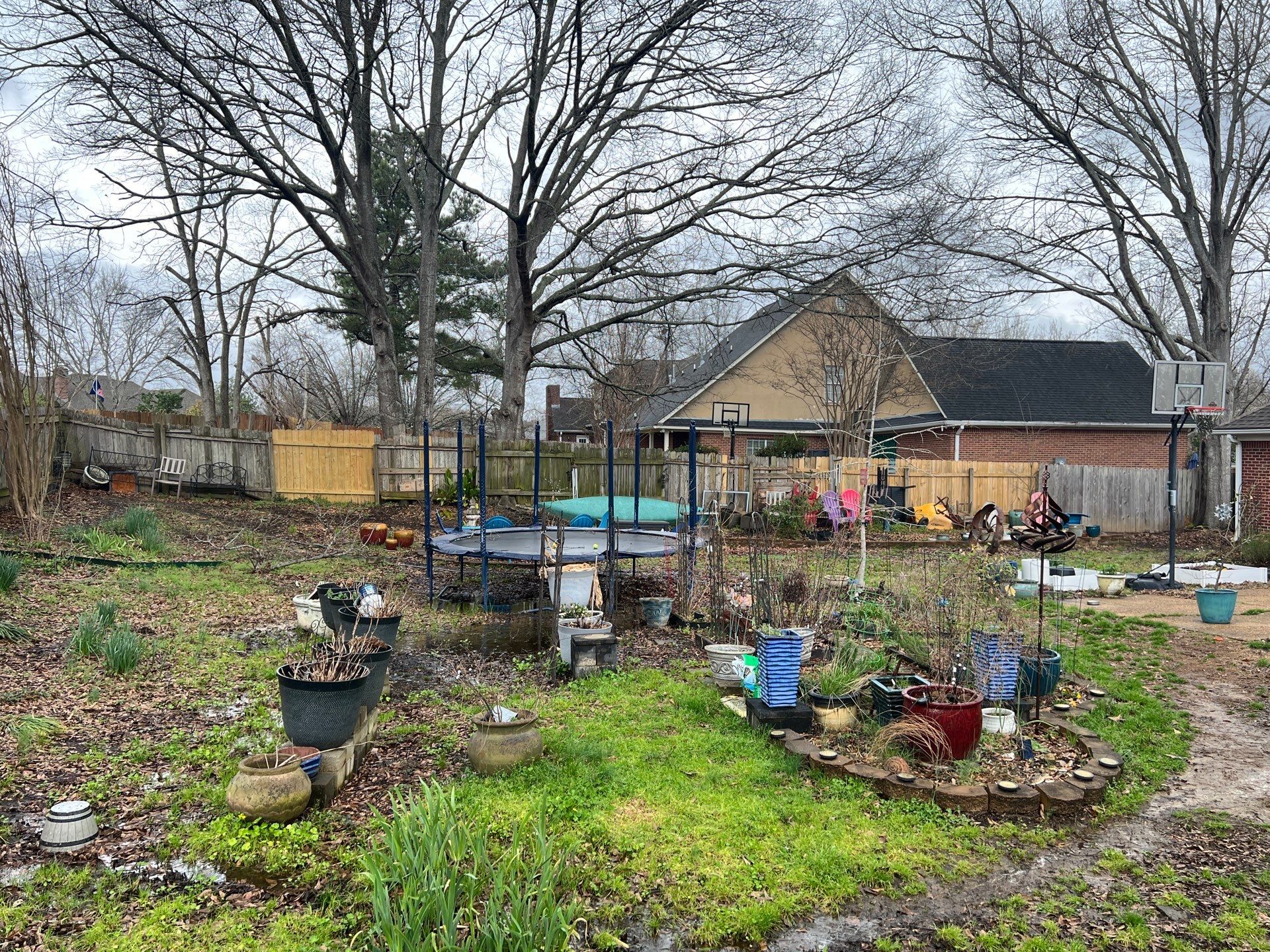 8' Cedar Good Neighbor 6x6 w/Decorative Opening by Roberson Construction LLC