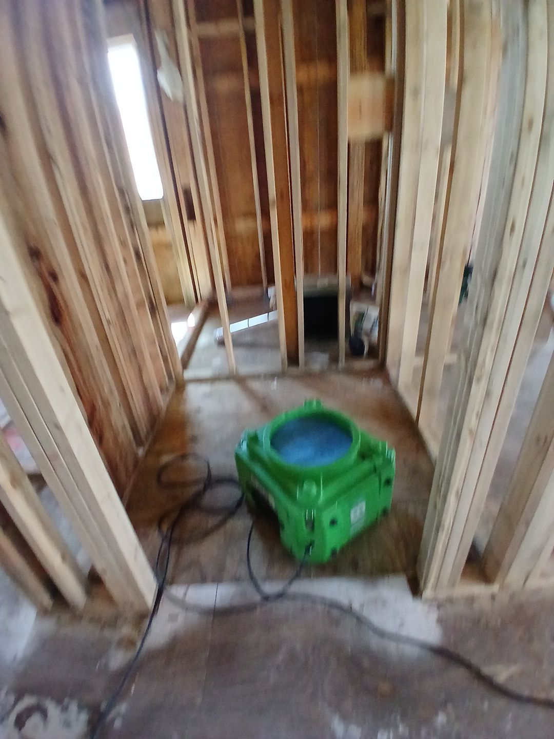 Anna Maria Mold Remediation by Ampm Restoration Services