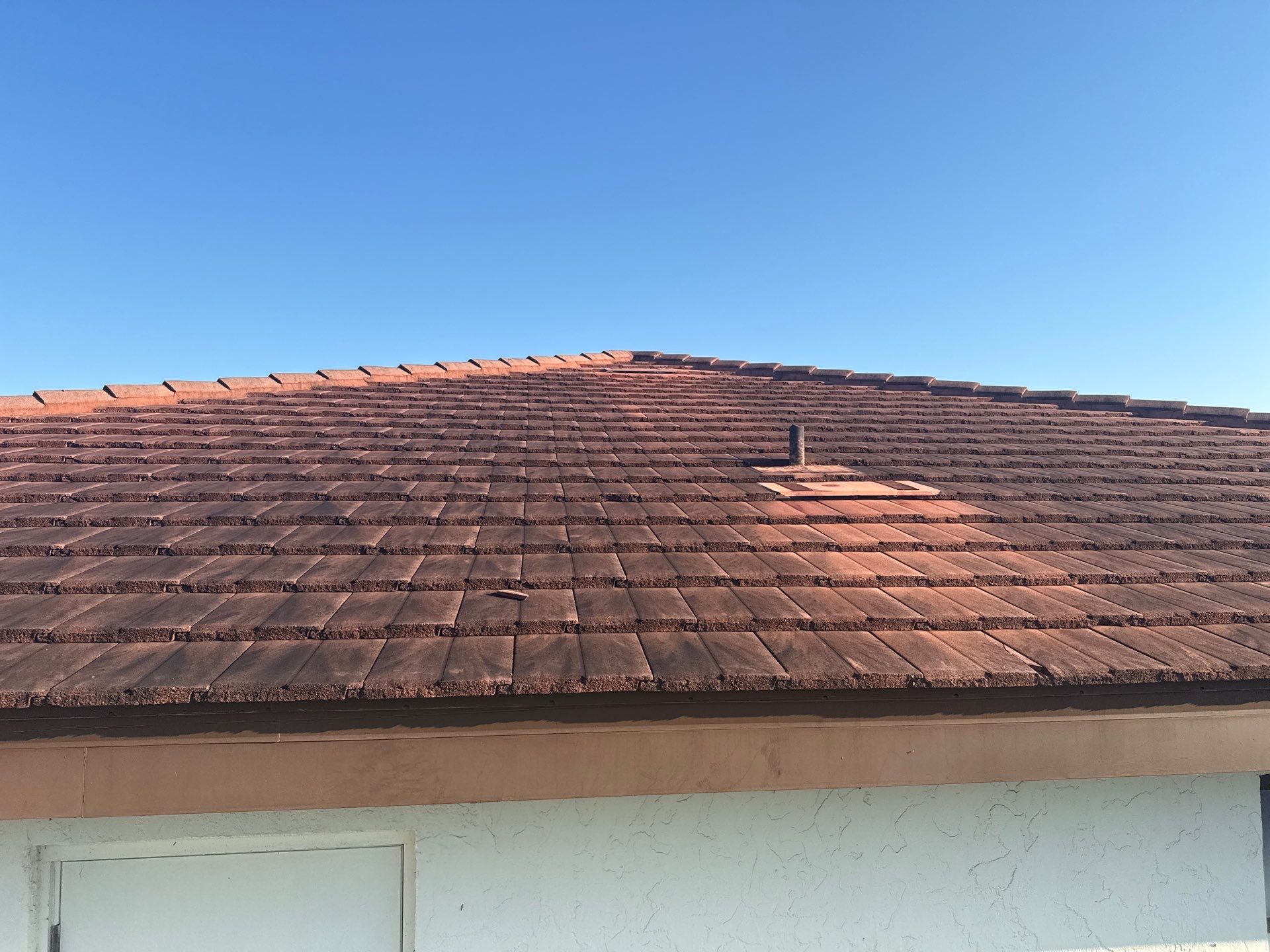 Tile Roof Cleaning – Vivenda at Bradenton I (5-Star Review & Plant Protection) by Sunshine AquaWash