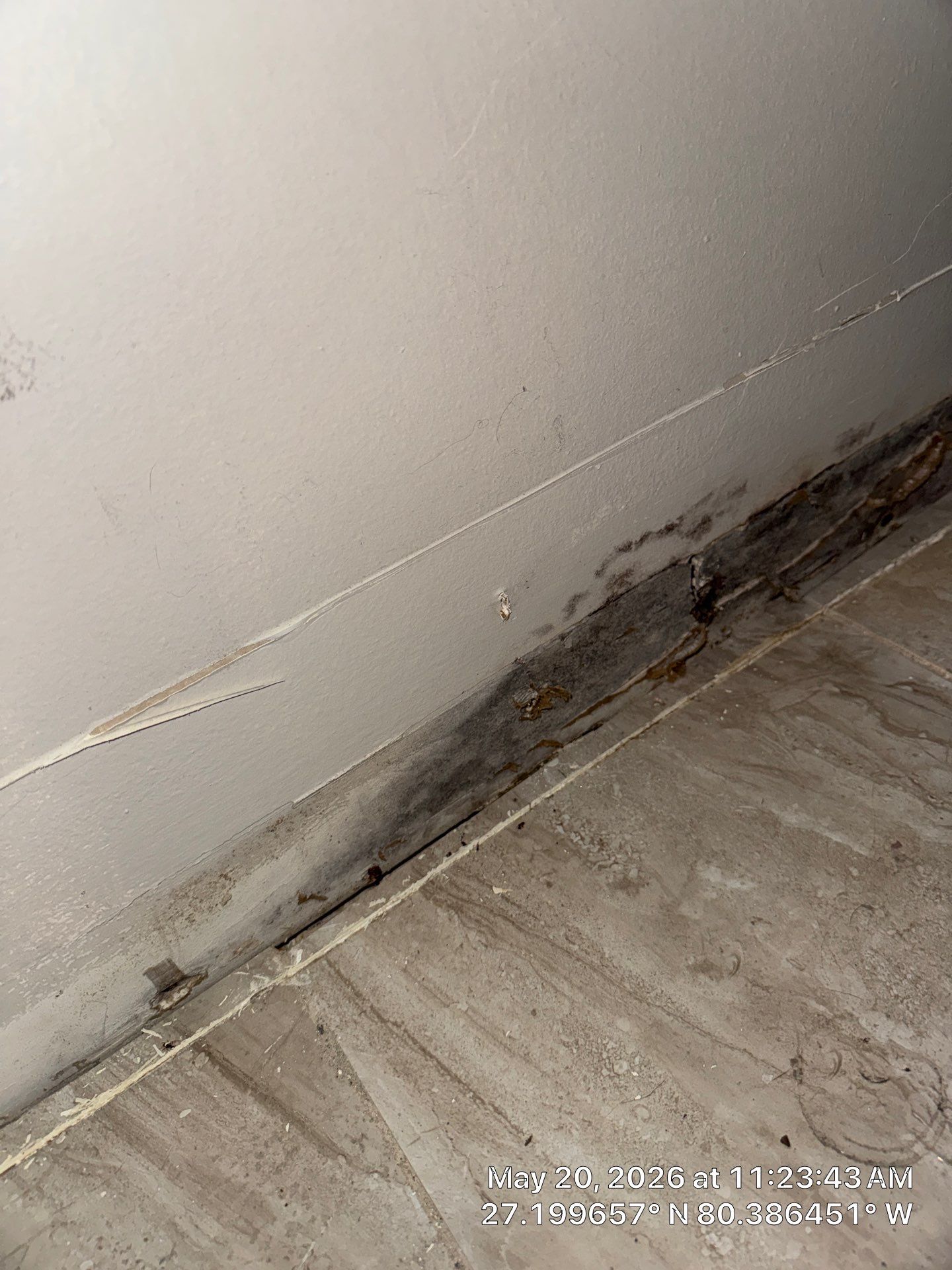 Water Damage Detection and Structural Drying in Palm City by SuperClean 