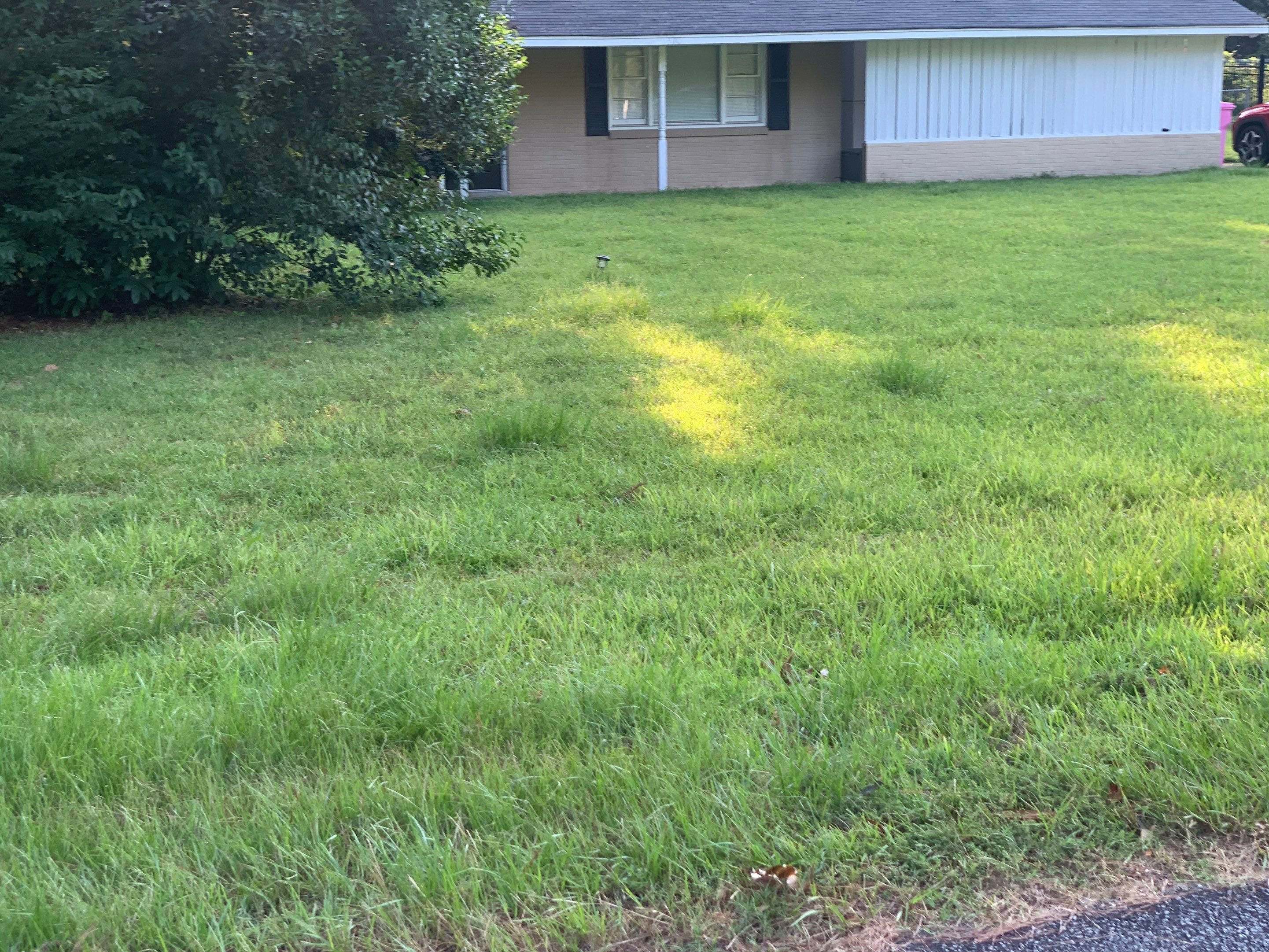 Yard Makeover by College Bros Outdoor services
