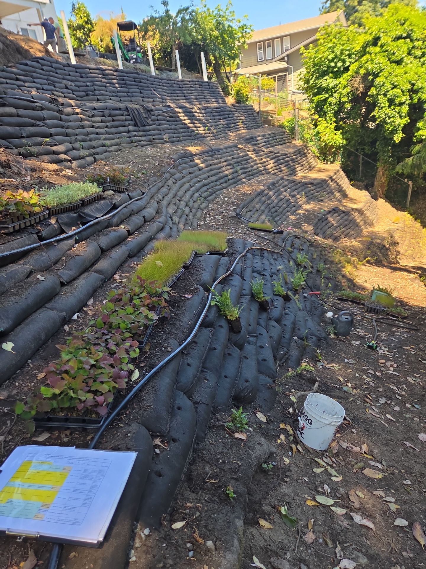 Georgia Park Terrace — Living Slope Transformation by Habanero Landscape Solutions